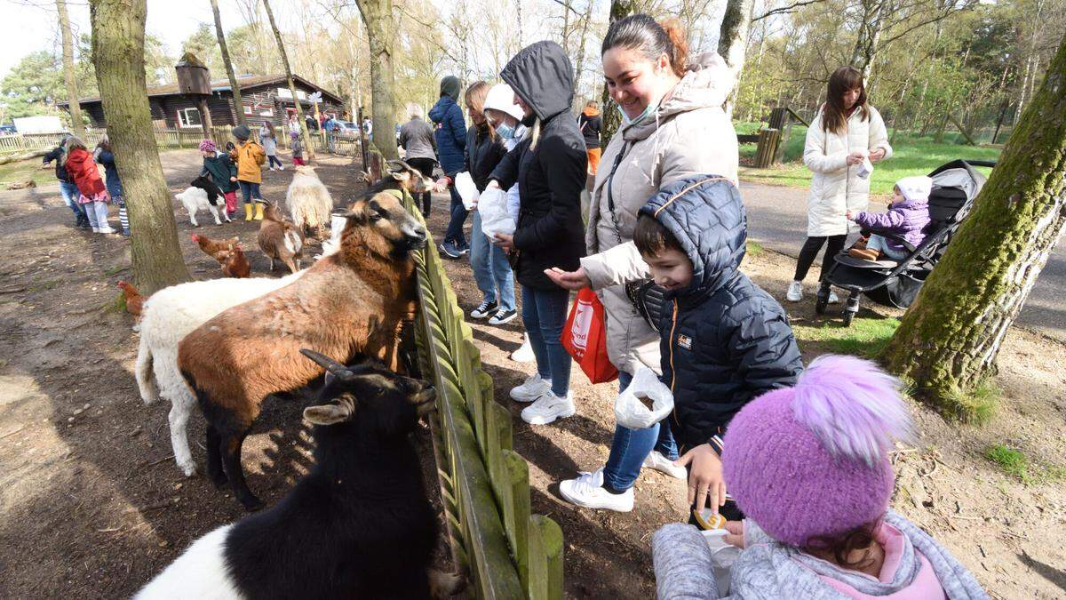 Freude Ber Ausflug In Den Wildpark Gangelt Aachener Zeitung