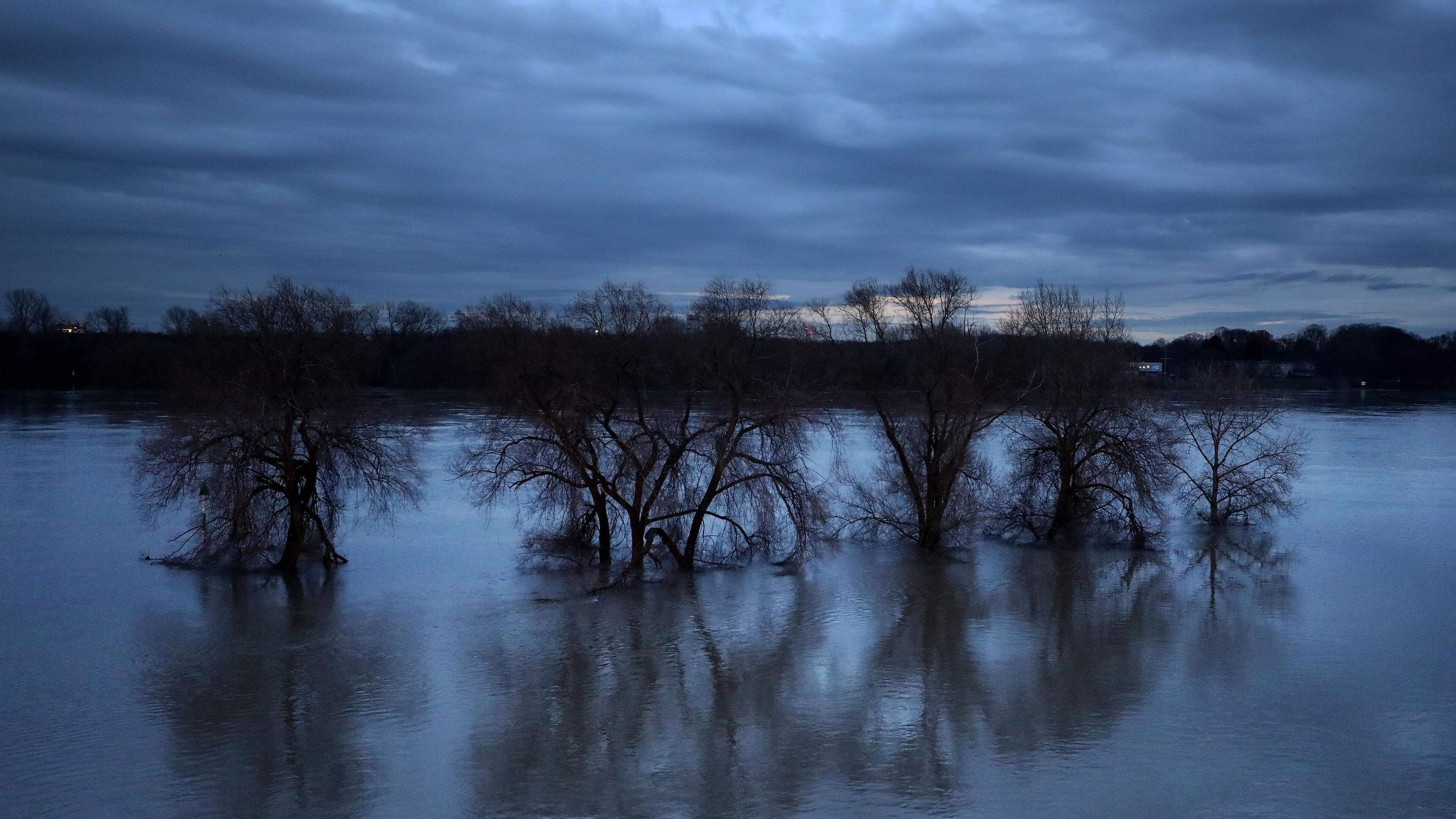 Hochwasser Im Rhein Steigt Weiter Aachener Zeitung