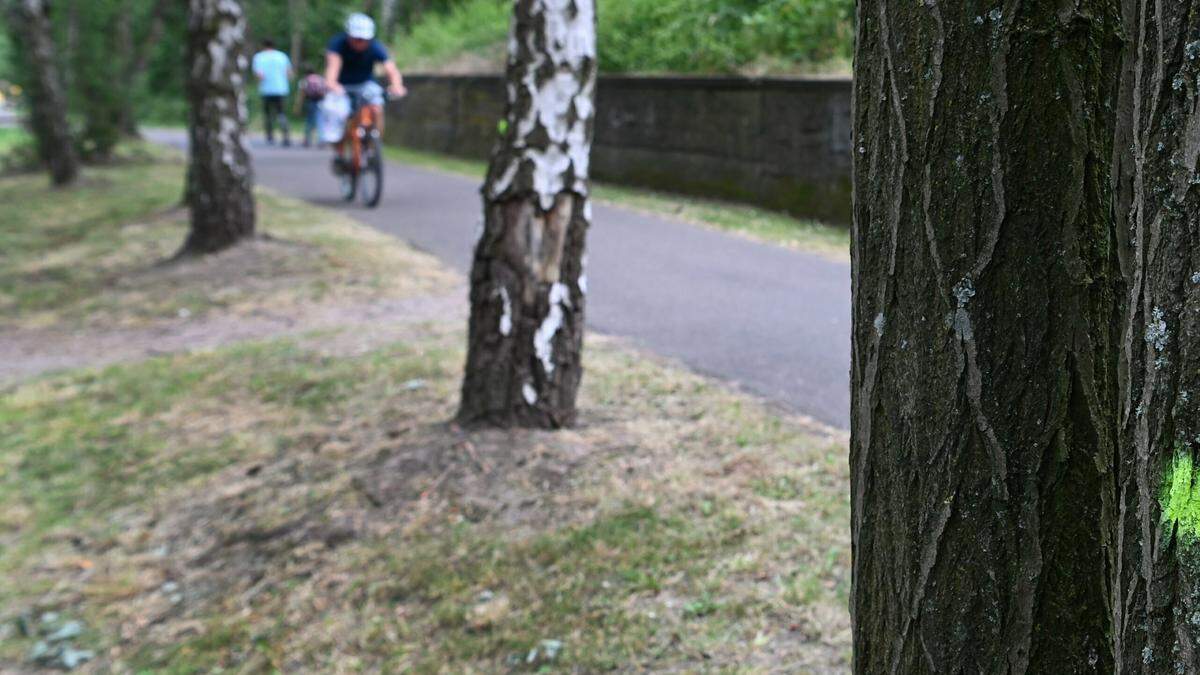 Politiker Sprechen Von Erfolgsmodell Natursch Tzer Von