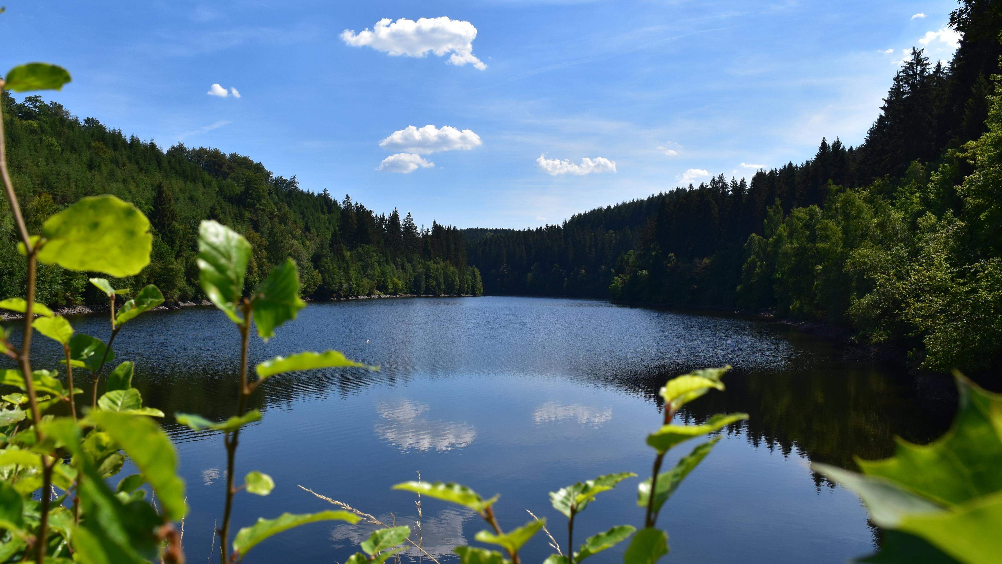 Wasserqualit T In Der Nordeifel L Sst Nicht Zu W Nschen Brig