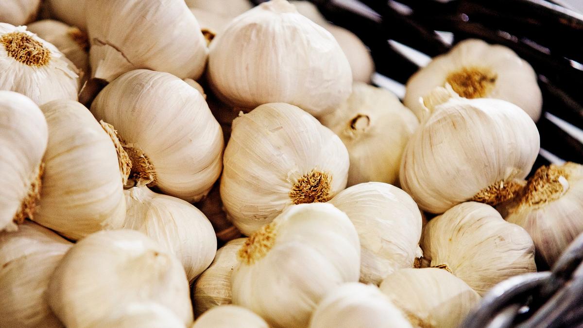 Fieser-Knoblauchatem-Was-gegen-die-Fahne-hilft