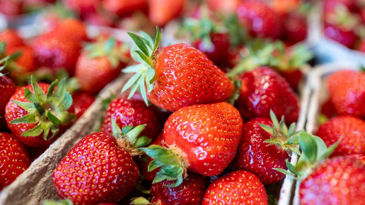 Test-Wie-belastet-sind-Erdbeeren-im-Handel-