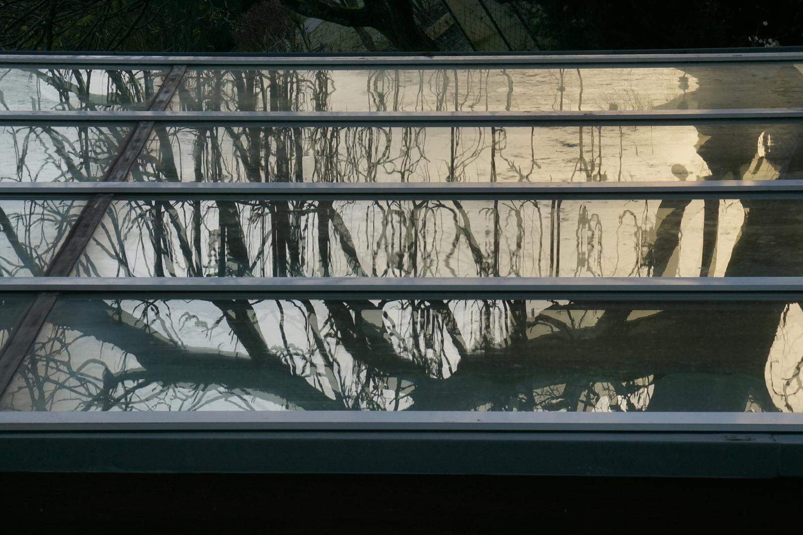 Barbara Schulte Zurhausen „Lichtbilder“, Aachen 2012-12 III