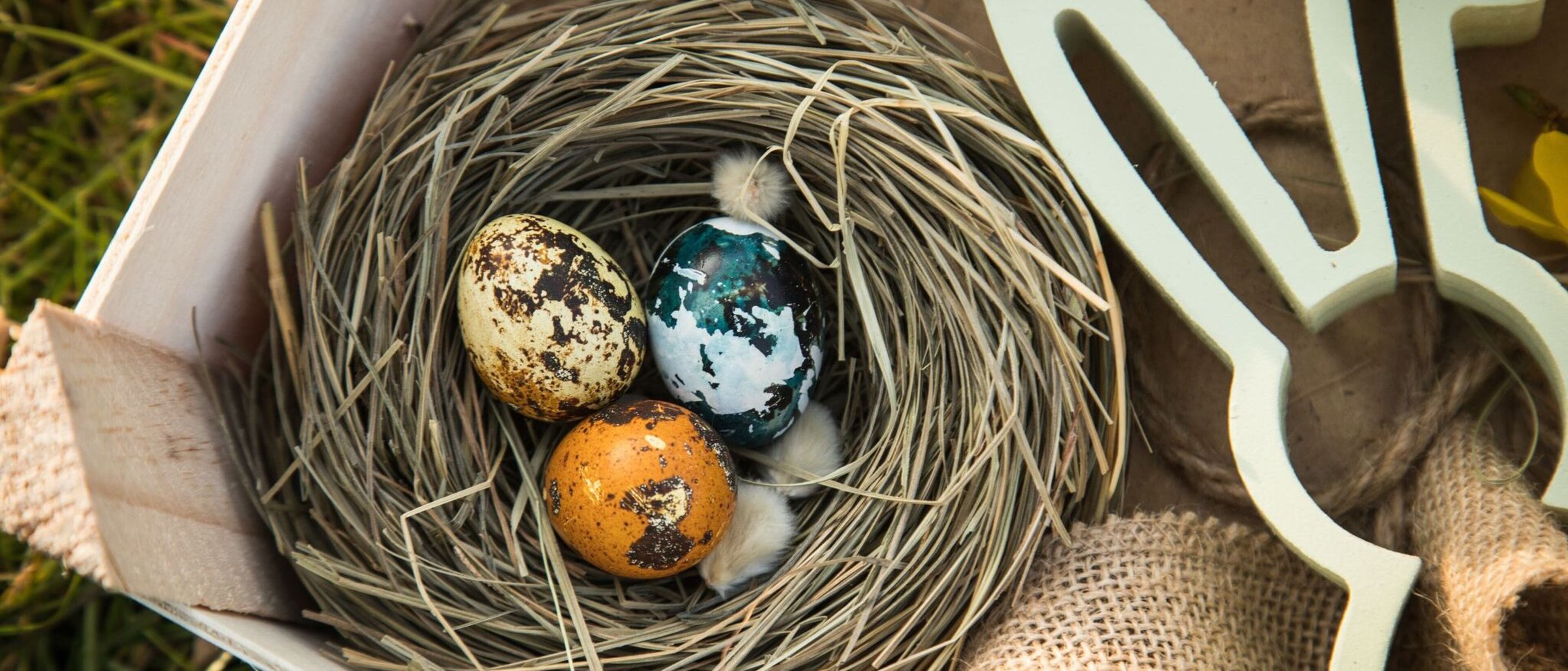 DIY-Deko: Osternest aus Naturmaterialien selber basteln