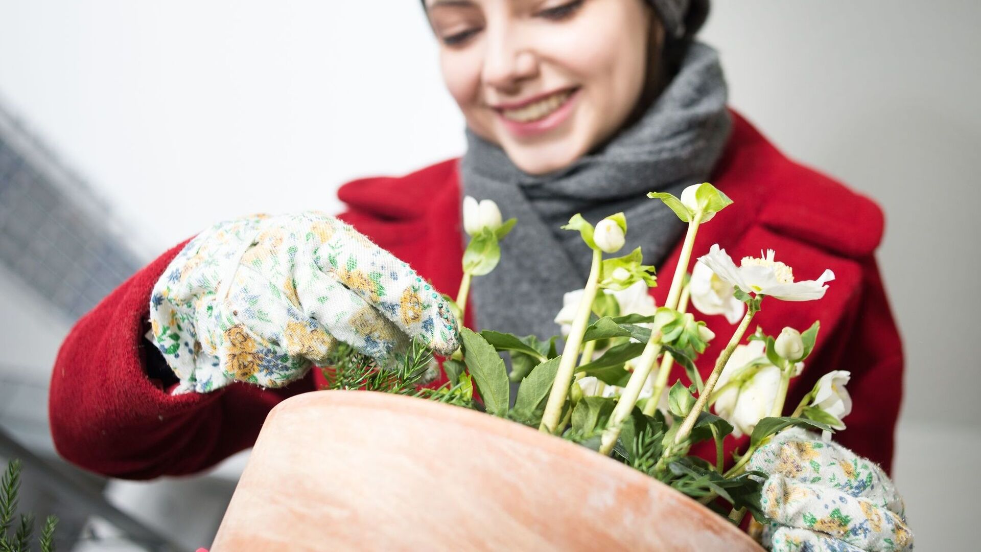 Keine Zimmerpflanze: Das braucht die Christrose | Aachener Zeitung