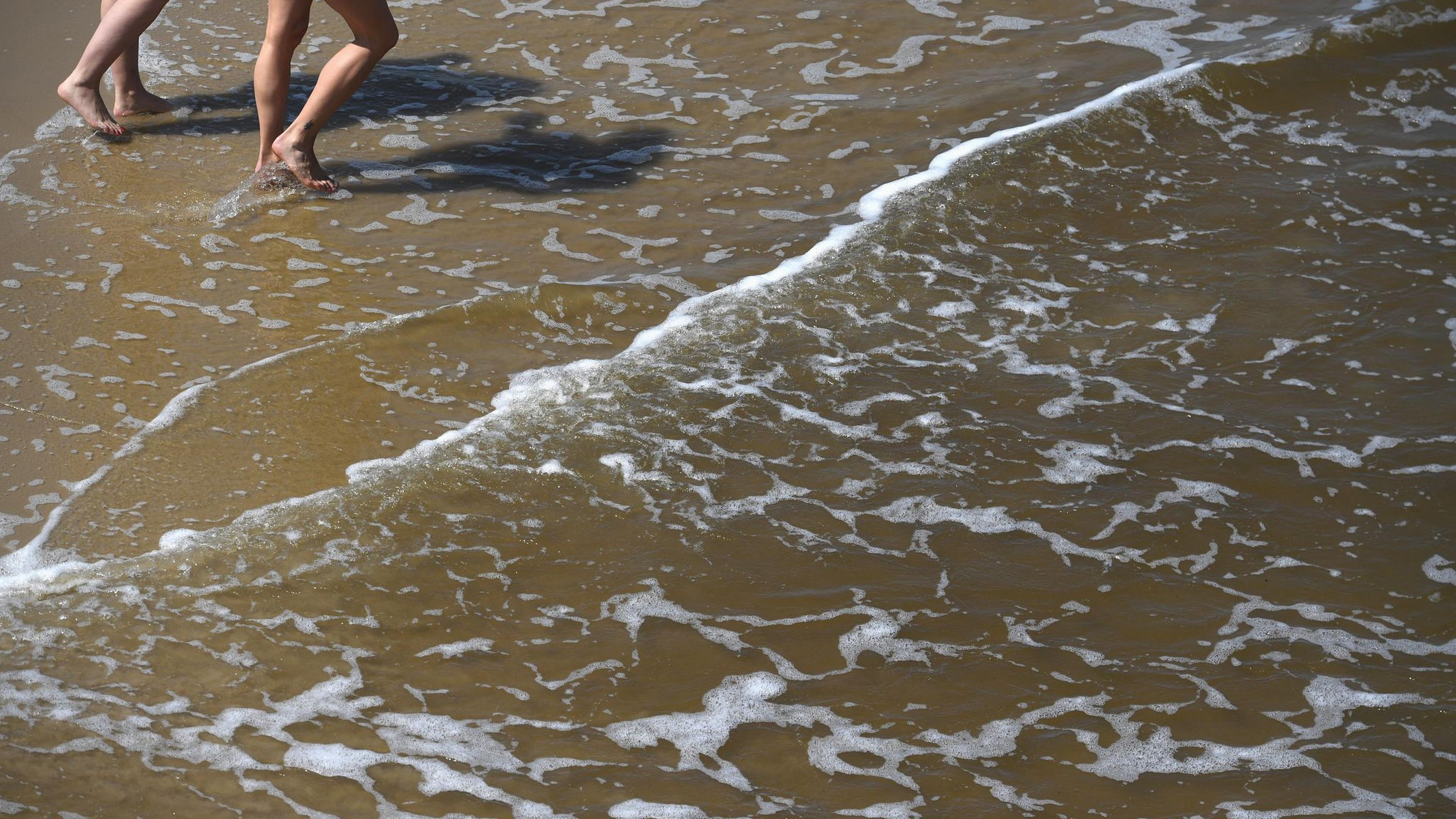 Bakterien im Wasser: Wie gefährlich sind Vibrionen?