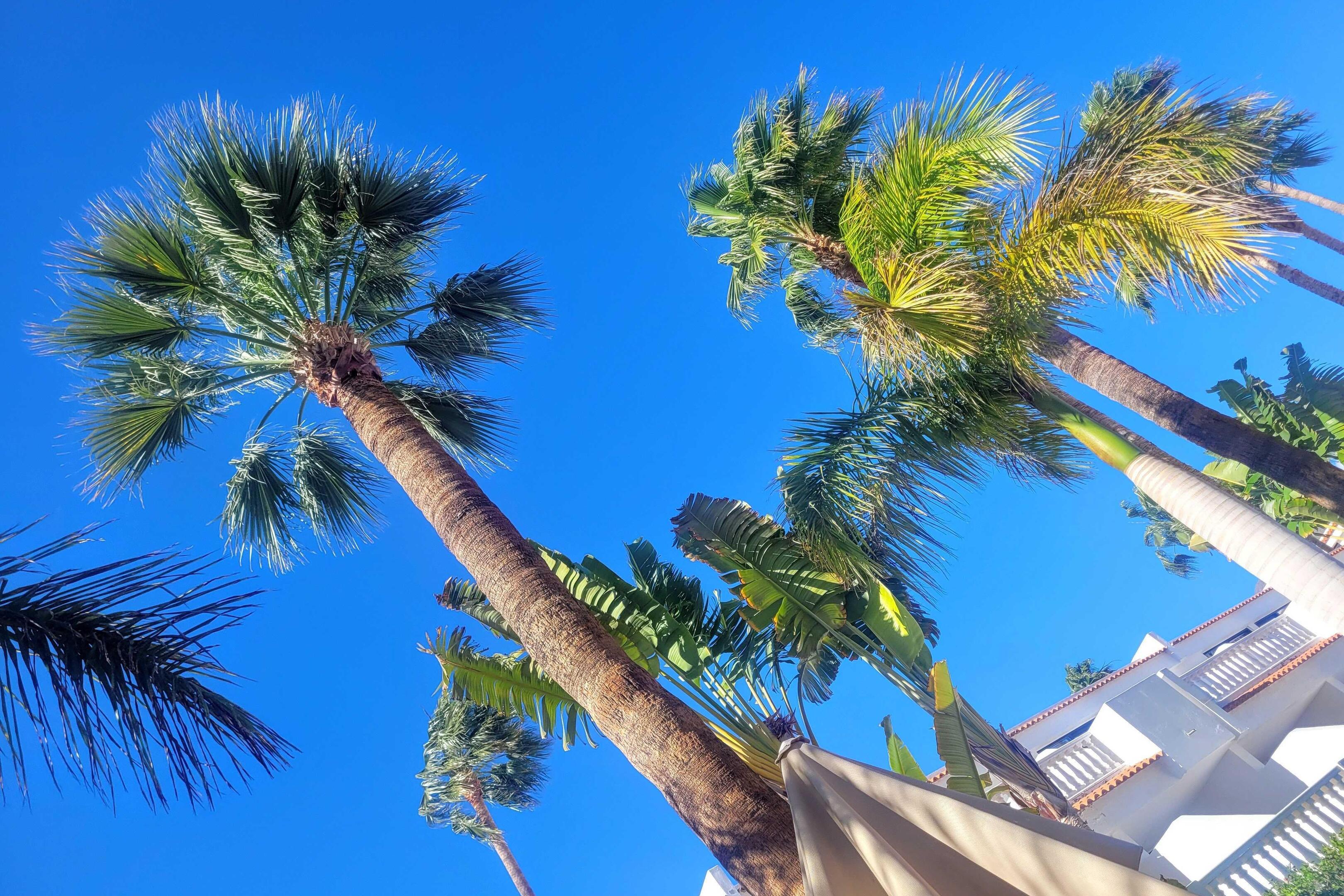 Hier lässt es sich doch entspannen: Aber Ruhe? Von wegen!