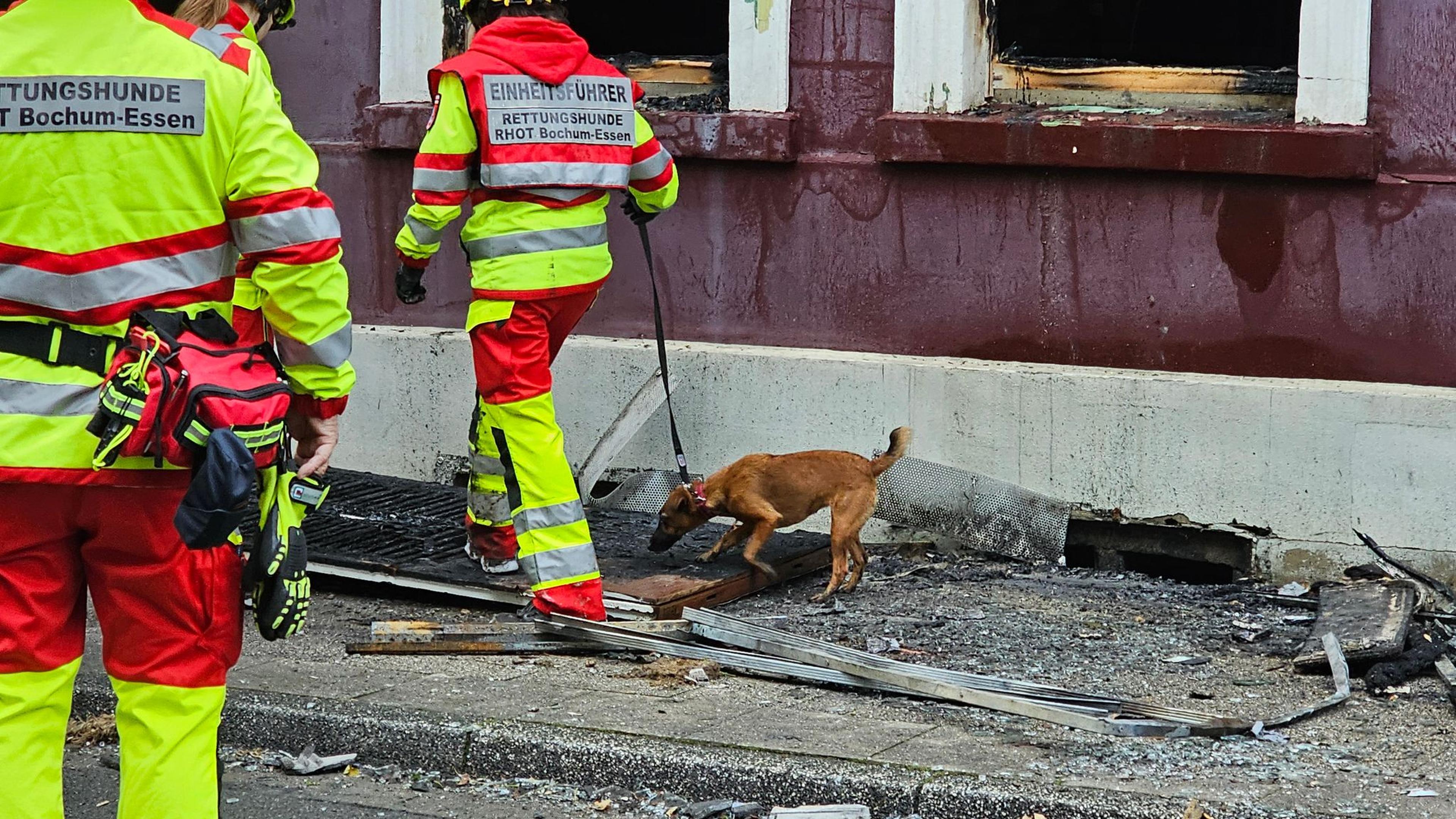 Ein Hundeführer hat einen Hund vor dem zerstörten Gebäude an der Leine.