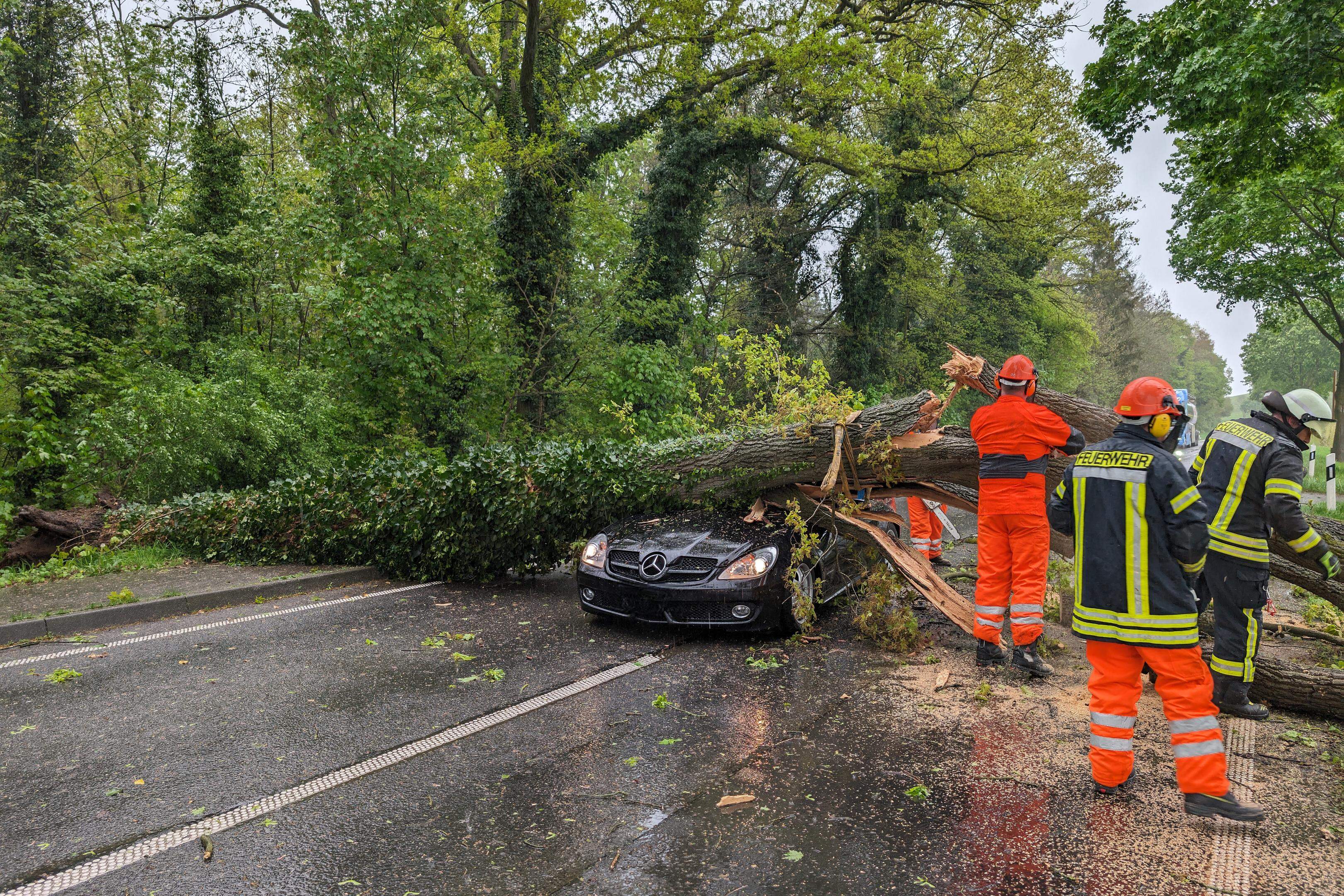Der Baum konnte dem Sturm nicht standhalten und traf das Auto während der Fahrt.