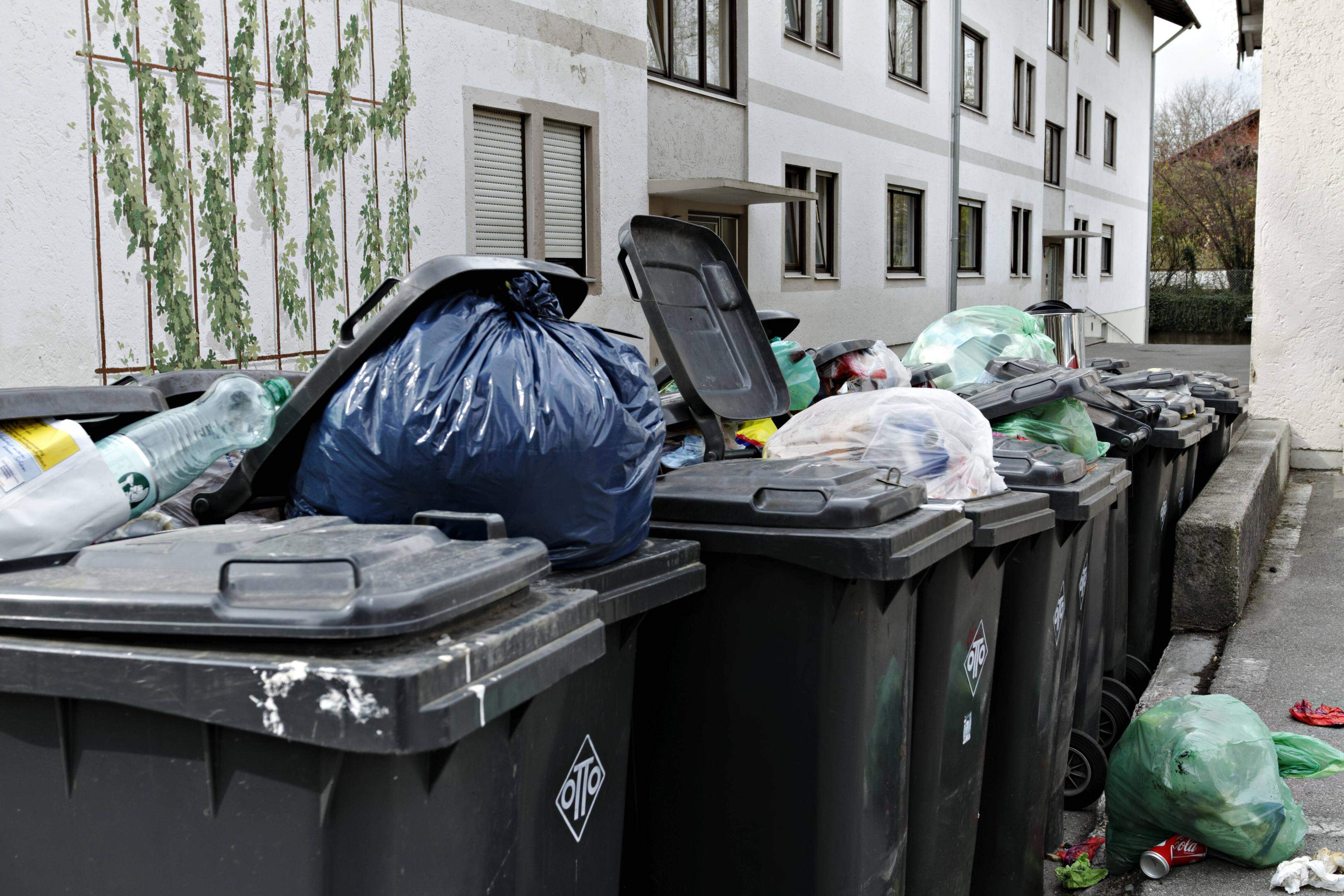 The rubbish bin empty every week. Bin Germany.