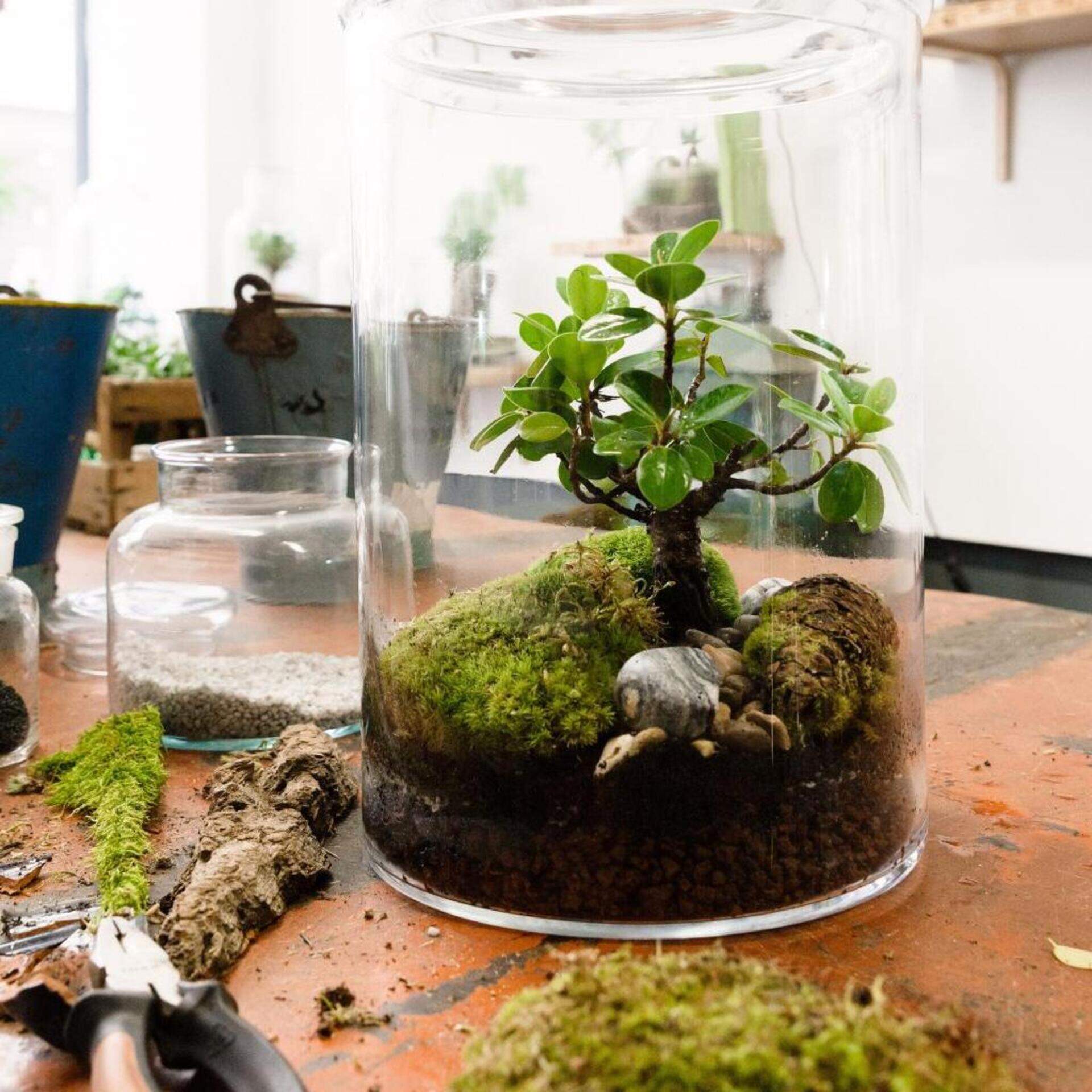 lampe bonsai LED-Bonsai-Tischlampe für stimmungsvolle Beleuchtung | Jetzt kaufen main image 1