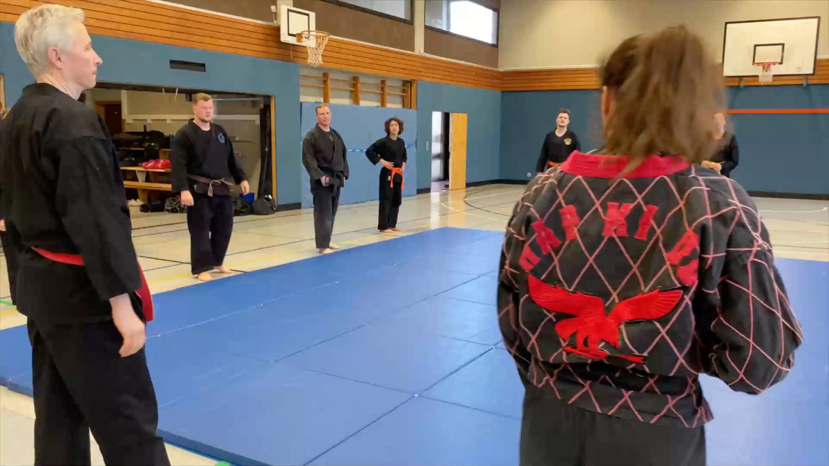 Was Bedeutet Hapkido? 