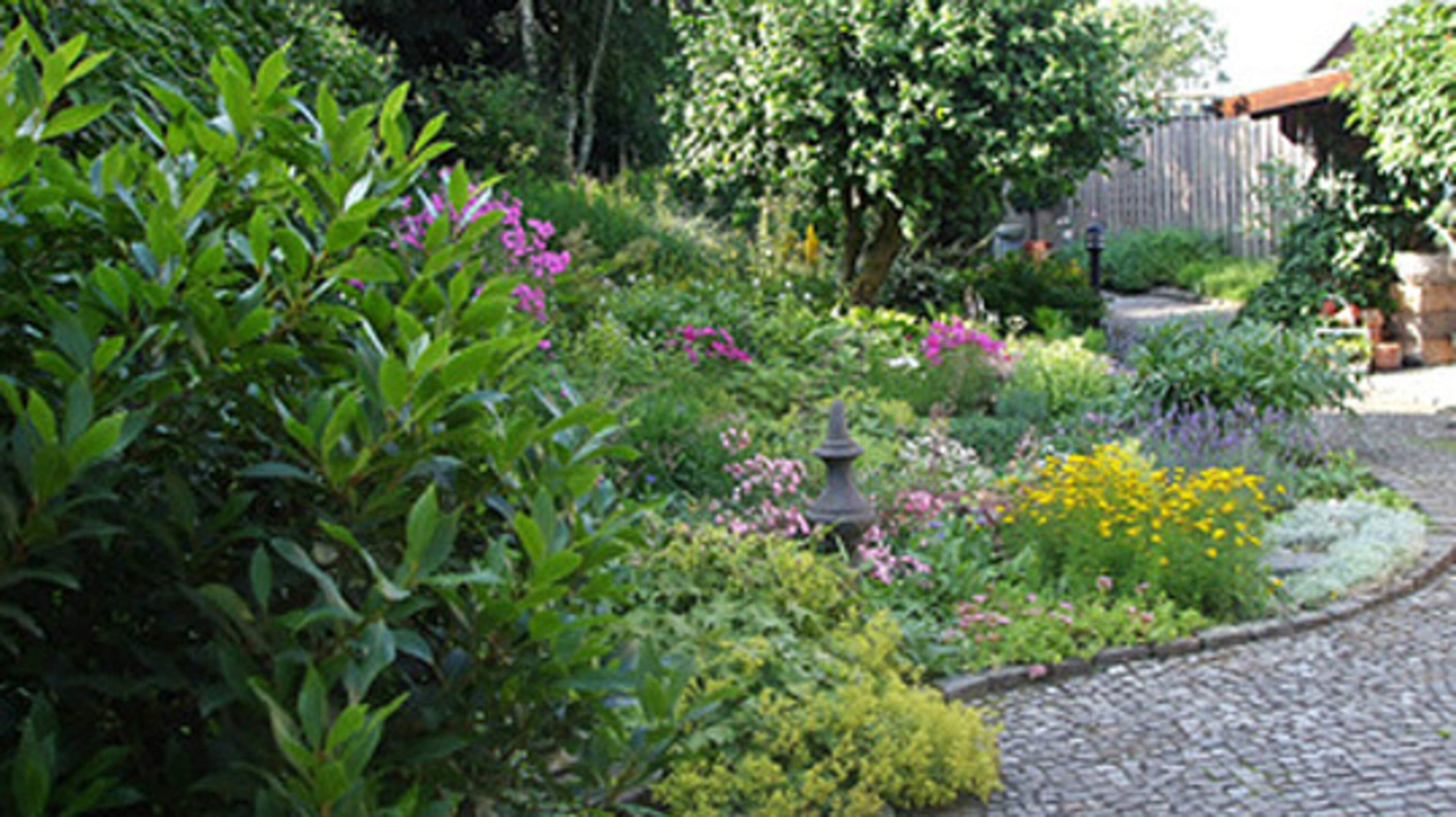 Gärtnern mit Stift und Papier Im Winter die Bepflanzung planen