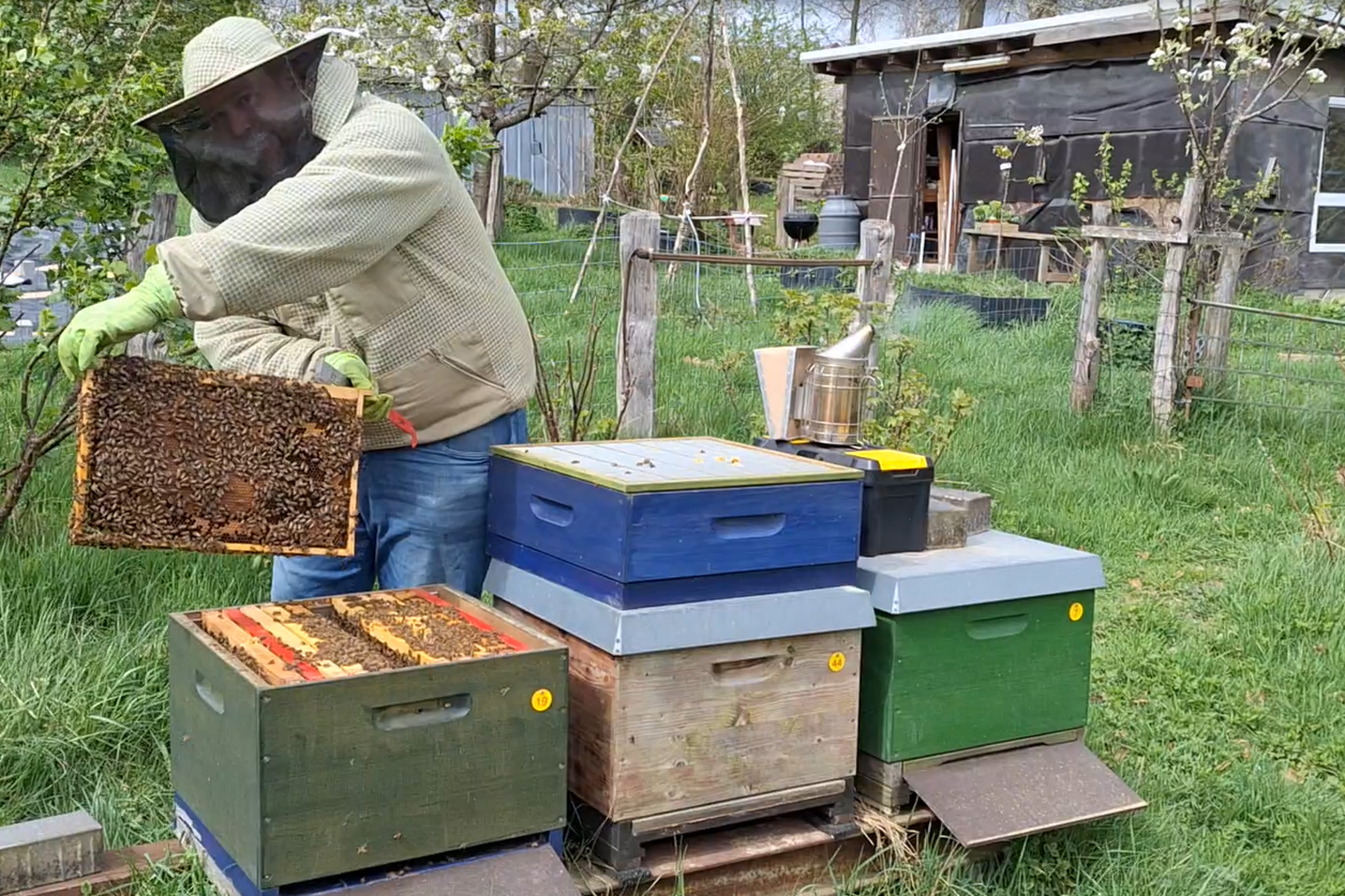 Heiko Förster startet mit seinen Bienen in die Saison. Wichtig ist jetzt, dass die Bienen gut in das neue Jahr starten können. 