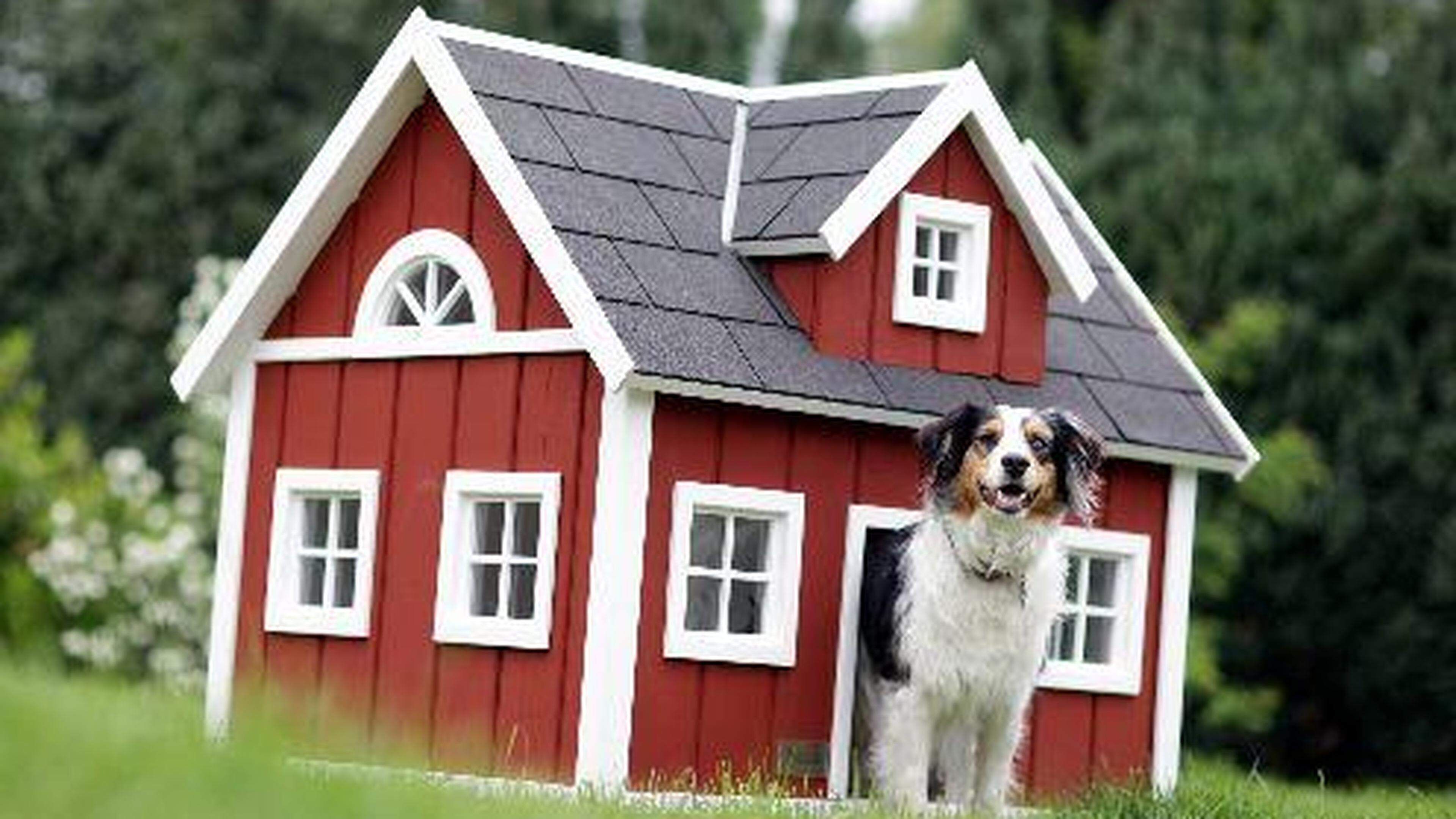 Cheapest Hundehütte Hundehaus Hund