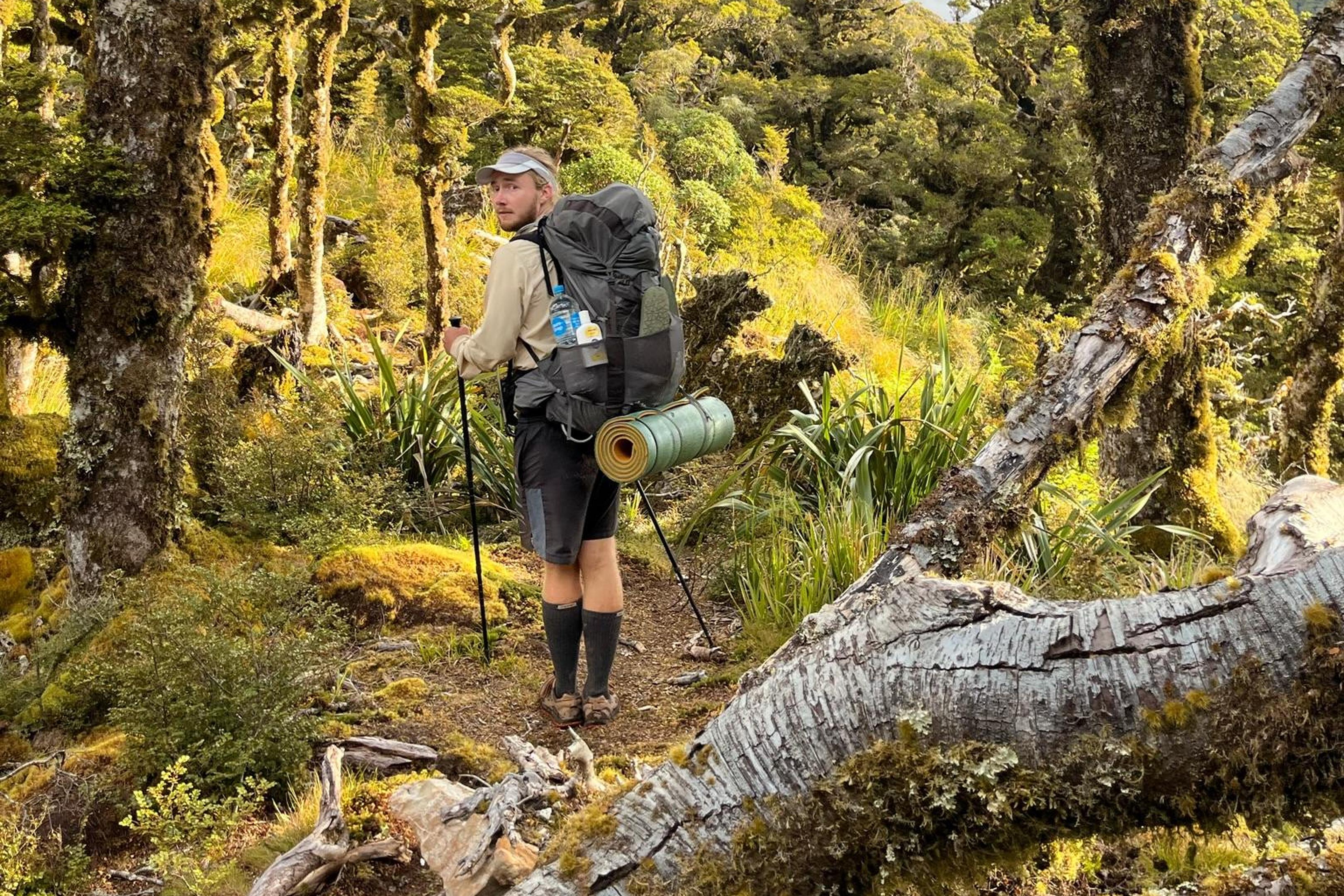 Trügerischer Sonnenschein in den moosbedeckten Wäldern: In Neuseeland ereilen einen schnell alle Jahreszeiten an einem Tag. Unser Autor Leon Kirschgens unterwegs.