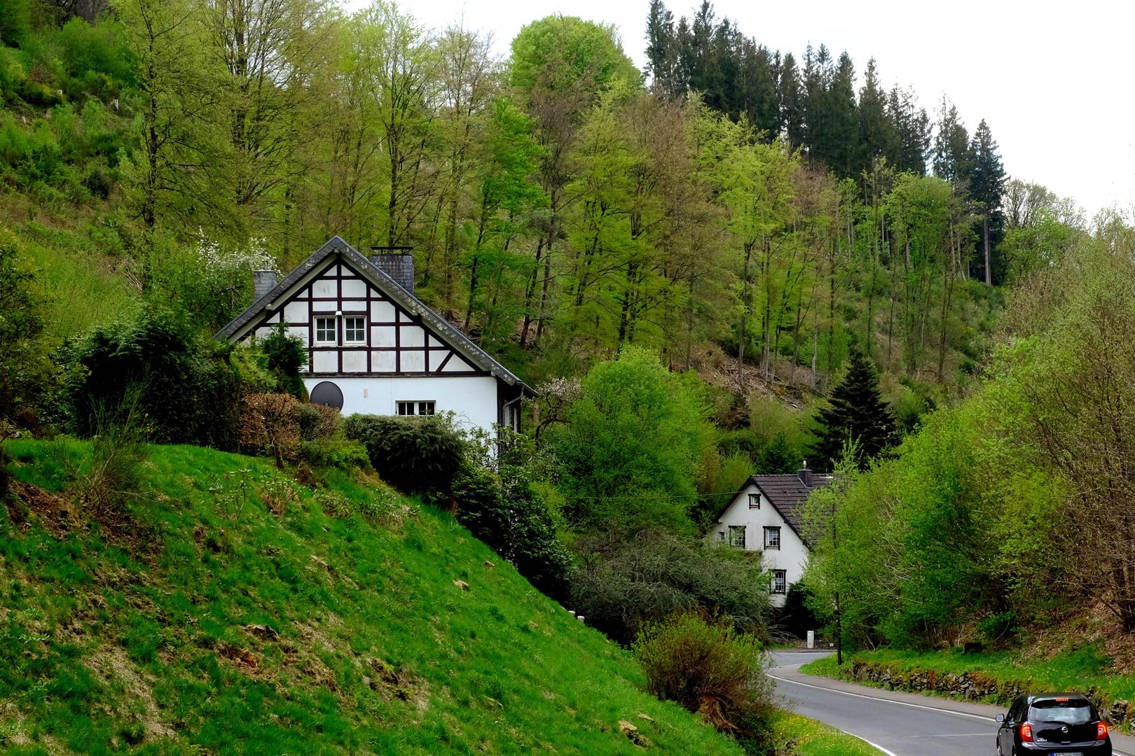 Ein riesiges, nicht nutzbares Steilgelände rund ums Haus, das nun mit dem Baulandpreis in die Grundsteuerberechnung einfließt: Die Topografie in Monschau ist ein typisches Beispiel für eine Unwucht der Grundsteuerreform, die viele trifft.