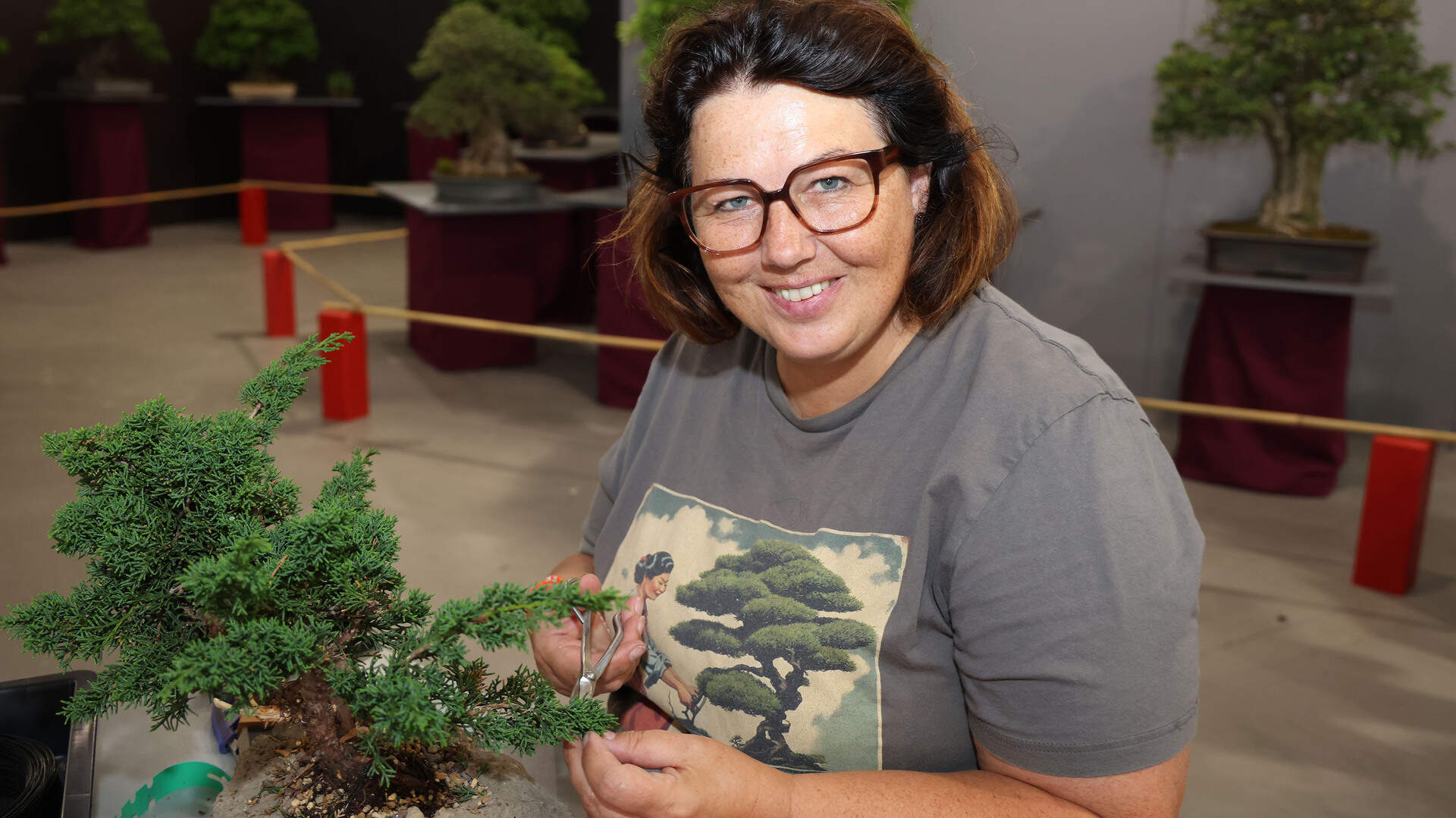 glücksfeder teilen Glücksfeder Zamioculcas 40 cm kaufen – Pflanzen online kaufen
