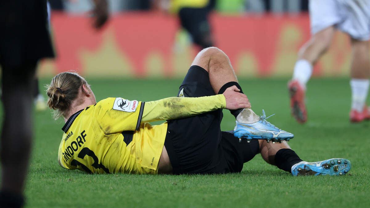 Selimbegovic: 