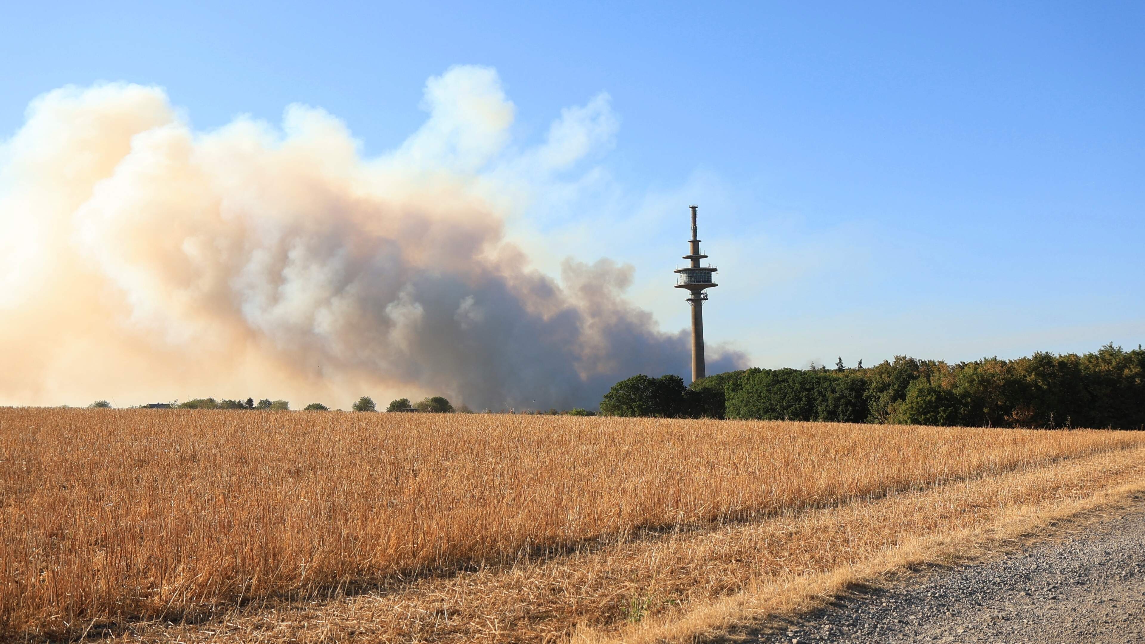 Grote natuurbrand in Duitse Hürtgenwald: rook trekt richting Zuid-Limburg