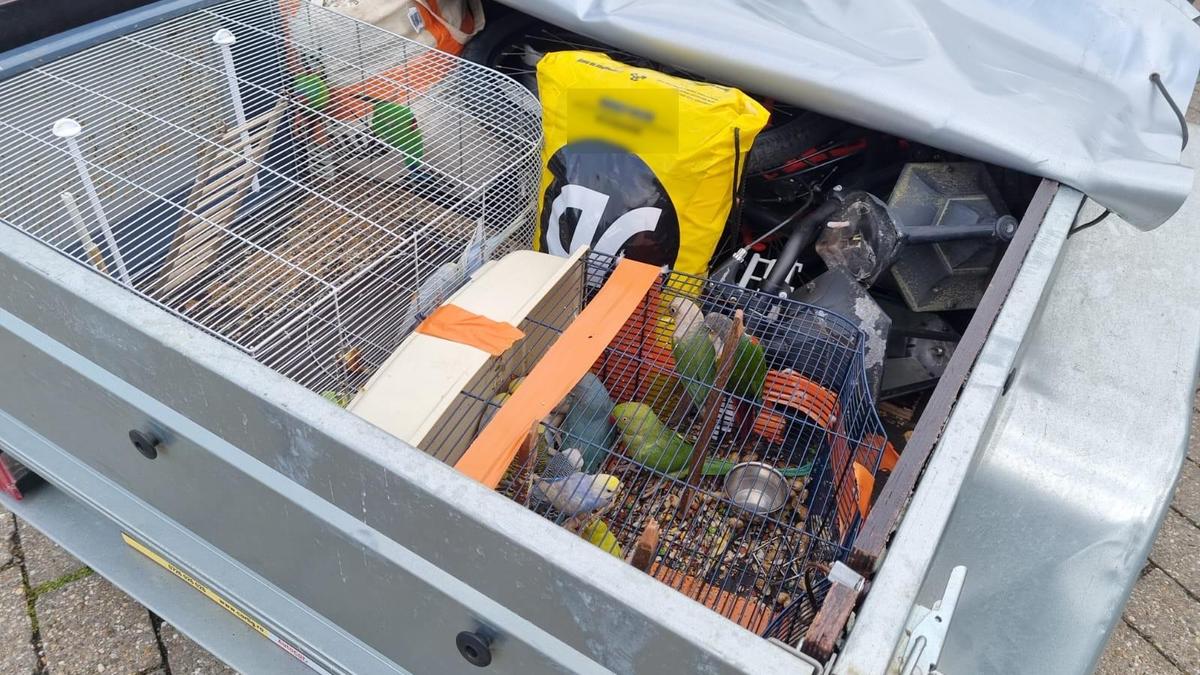 Bundespolizei-stoppt-illegalen-Tiertransport