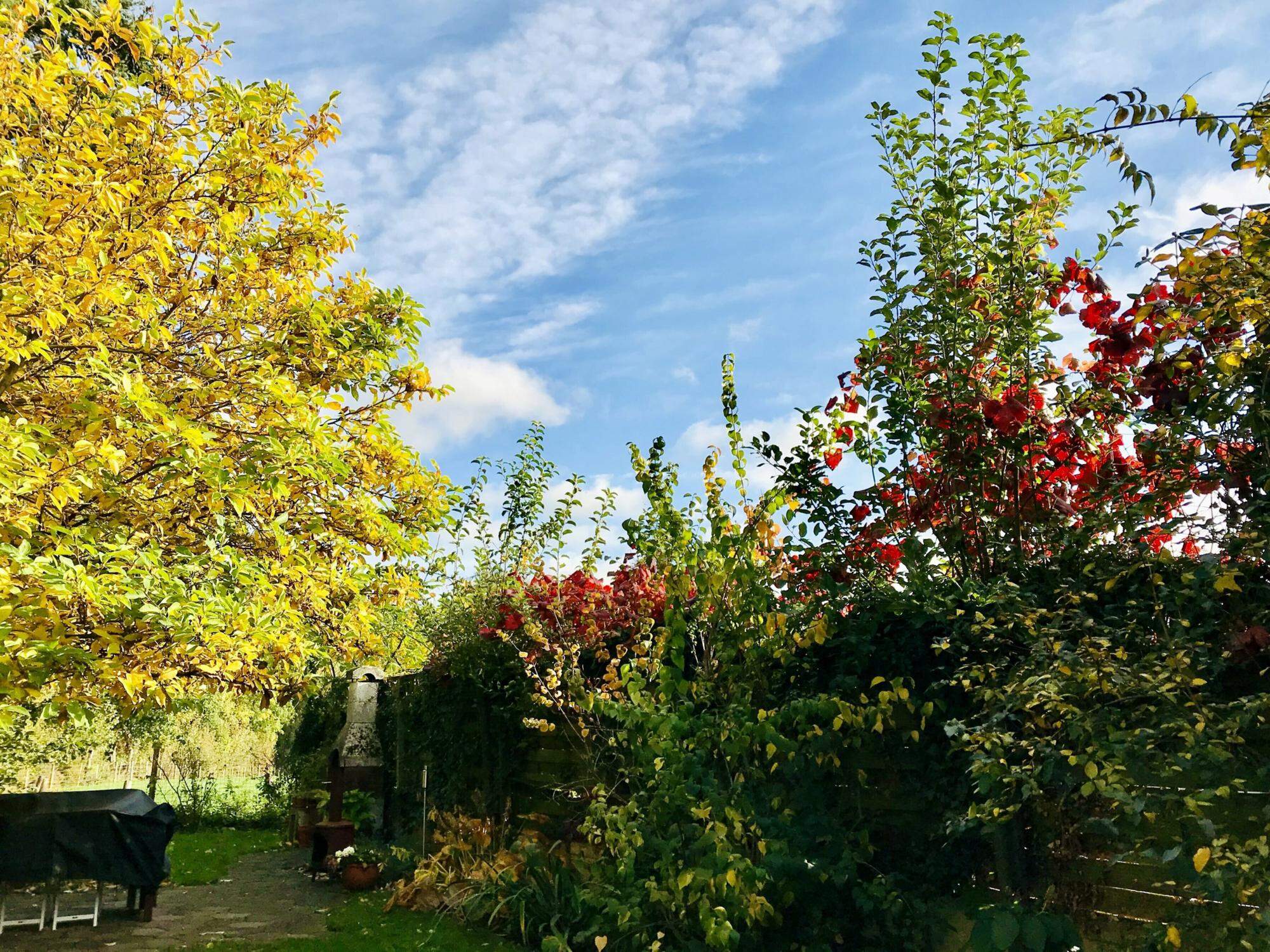 Was braucht der Garten im Herbst? Aachener Zeitung