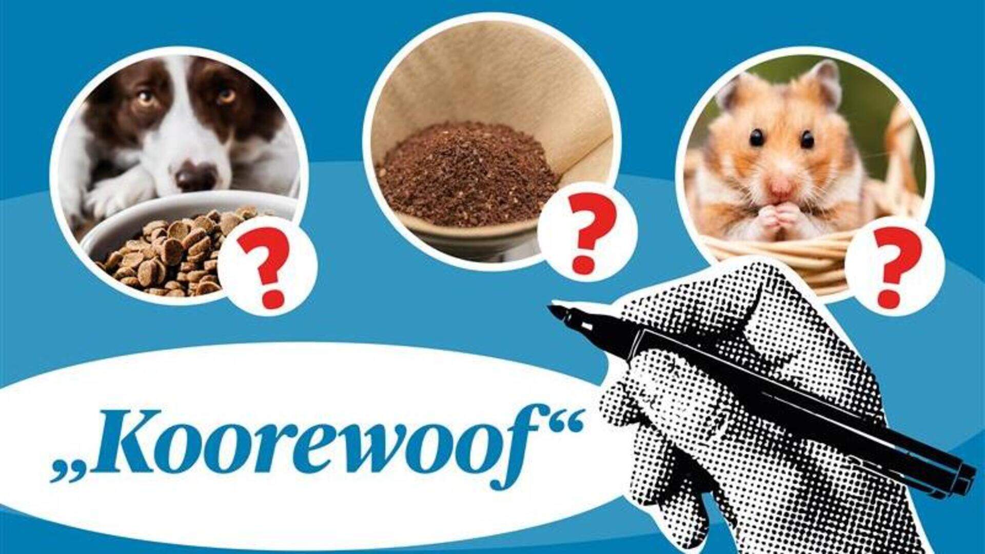 Mundart-Quiz: Plattdeutsche Begriffe und Sprichwörter entdecken ...