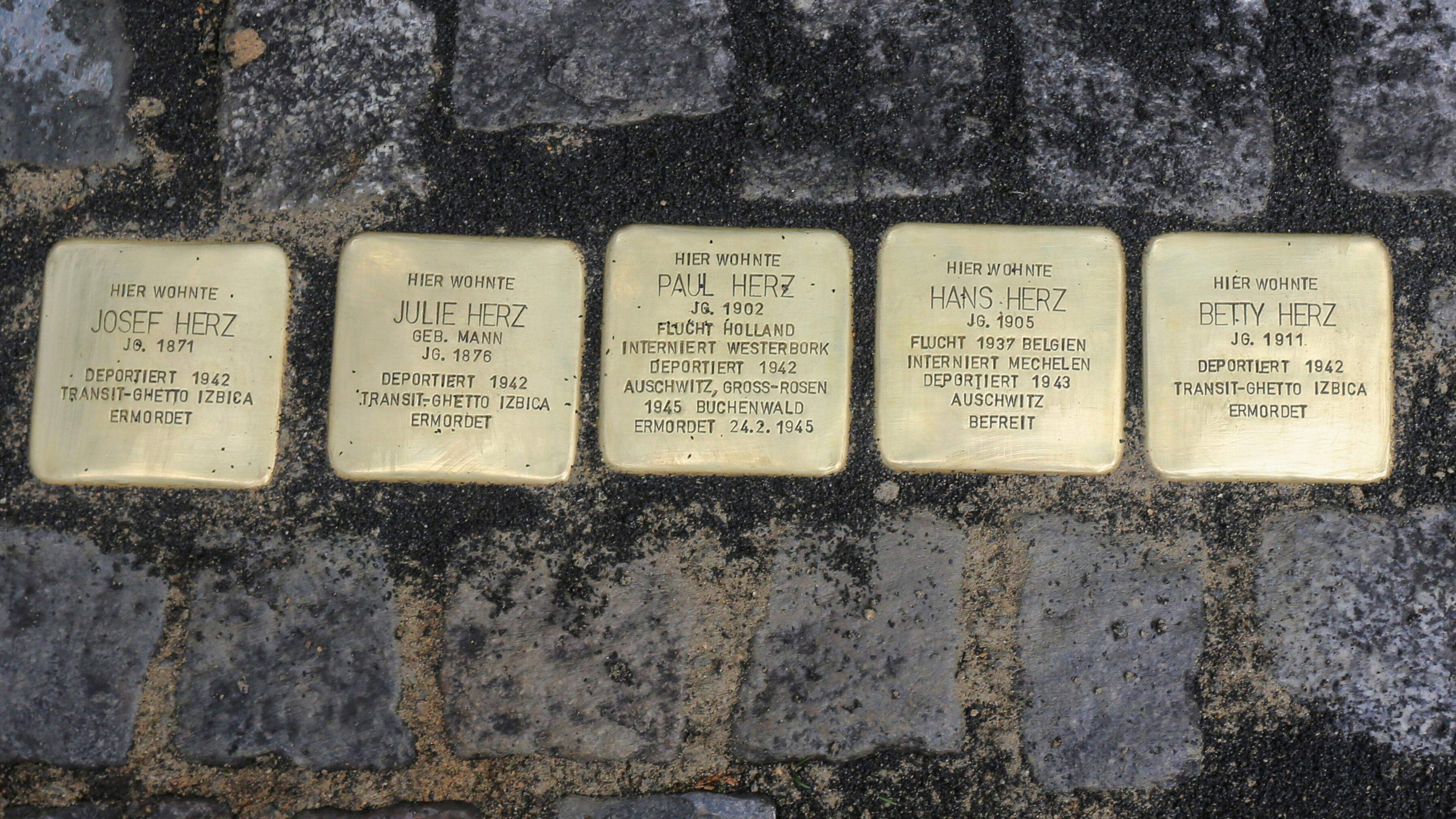 Wegen gegen das Vergessen: Die Stolpersteine in der Aachener Innenstadt sollen an die erinnern, die hier einst gelebt haben.