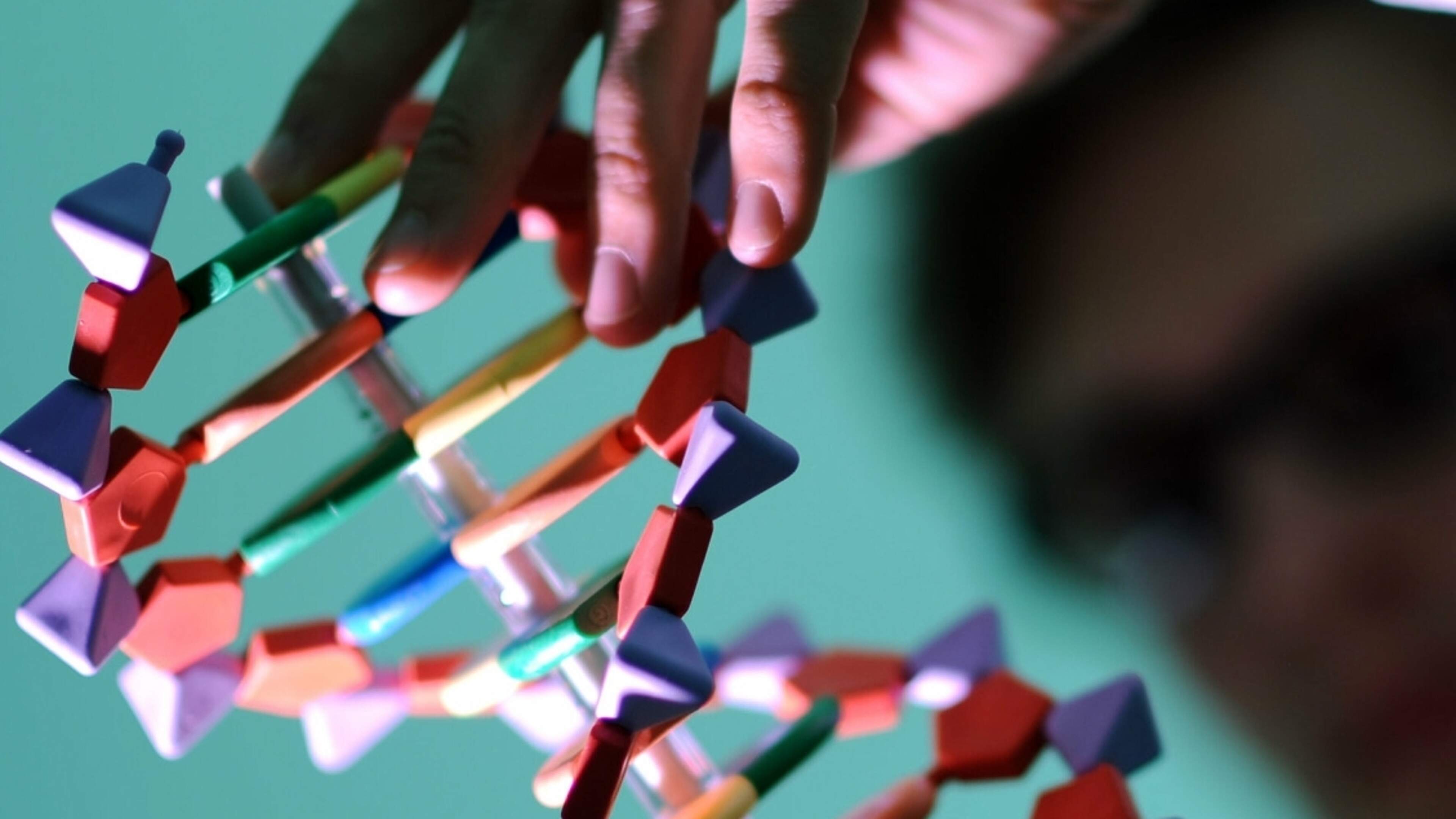 Leben besteht aus vier Buchstaben Aachener Zeitung