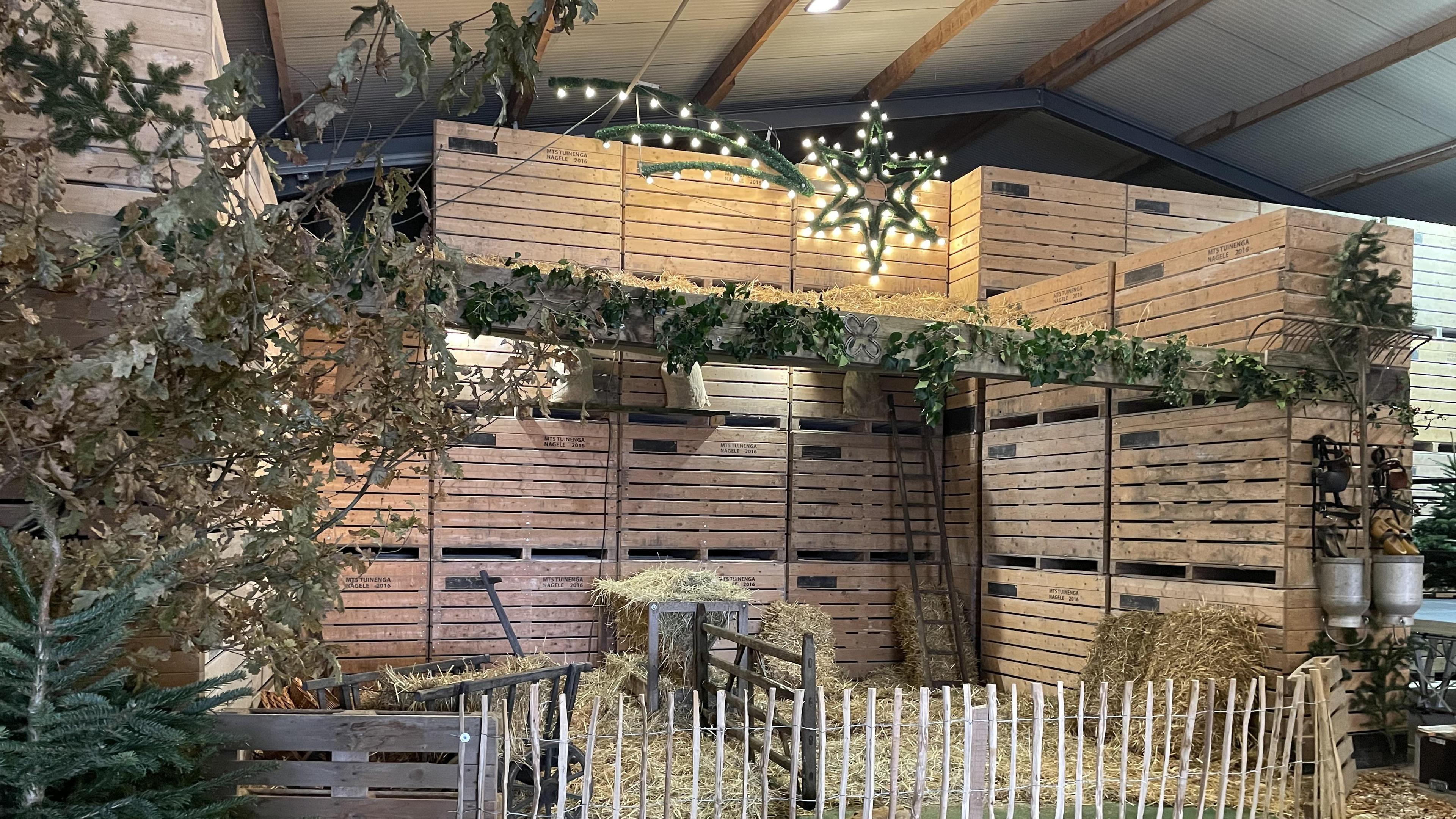 Weihnachten im Stall auf Gut Schenkelieck | Aachener Zeitung