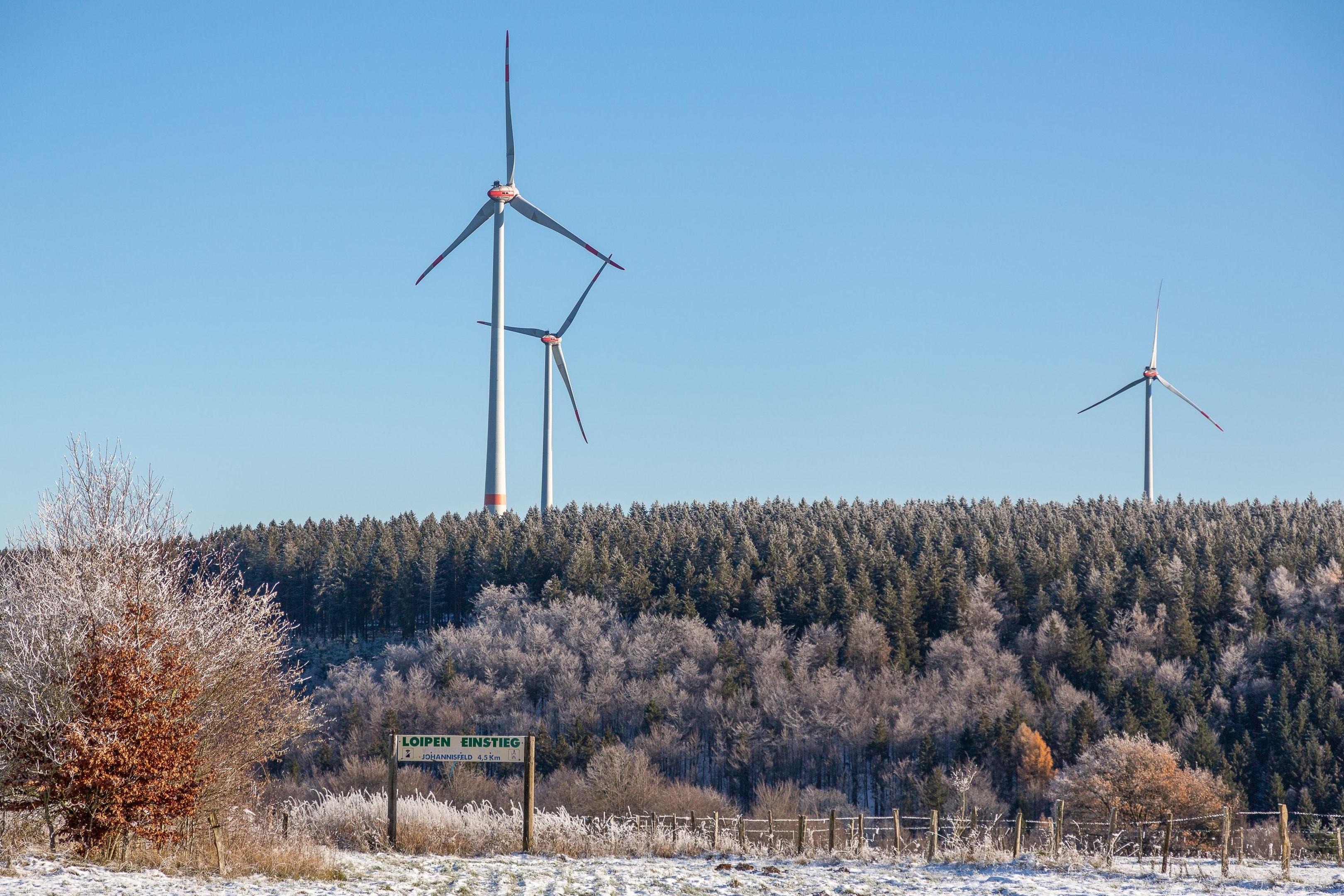 Fünf weitere Windkraftanlagen sollen im Windpark im Höfener Wald errichtet werden.