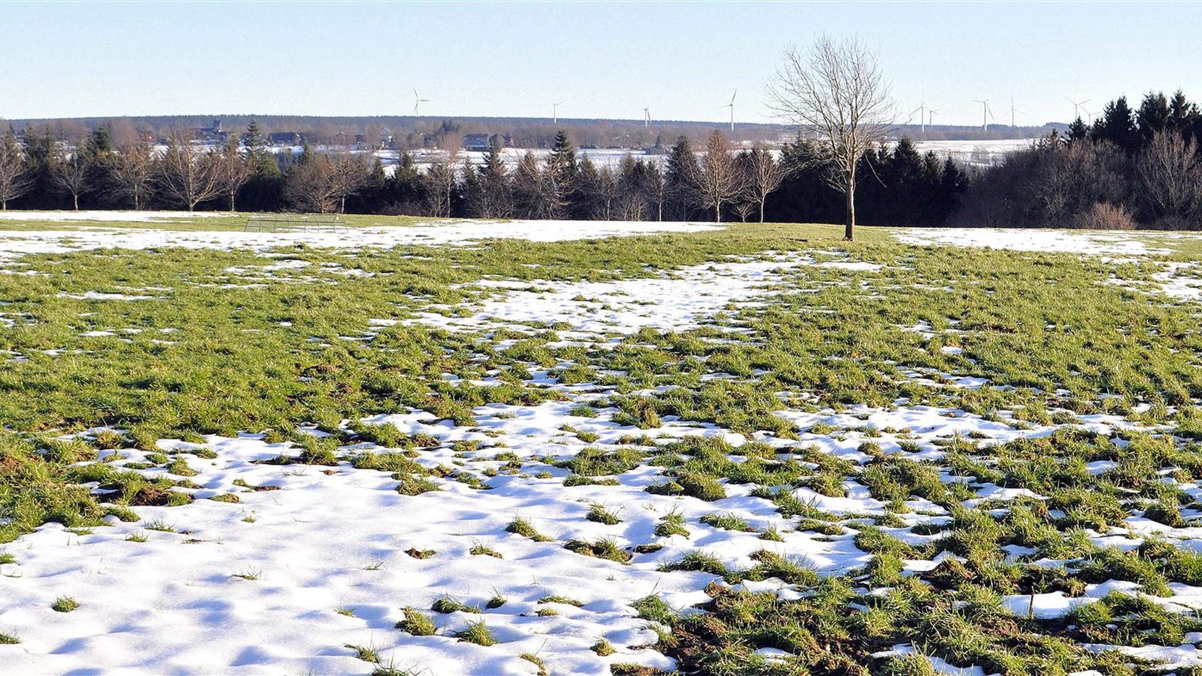 Der Februar Verabschiedet Sich Mit Regen, Schnee Und Viel Wind ...