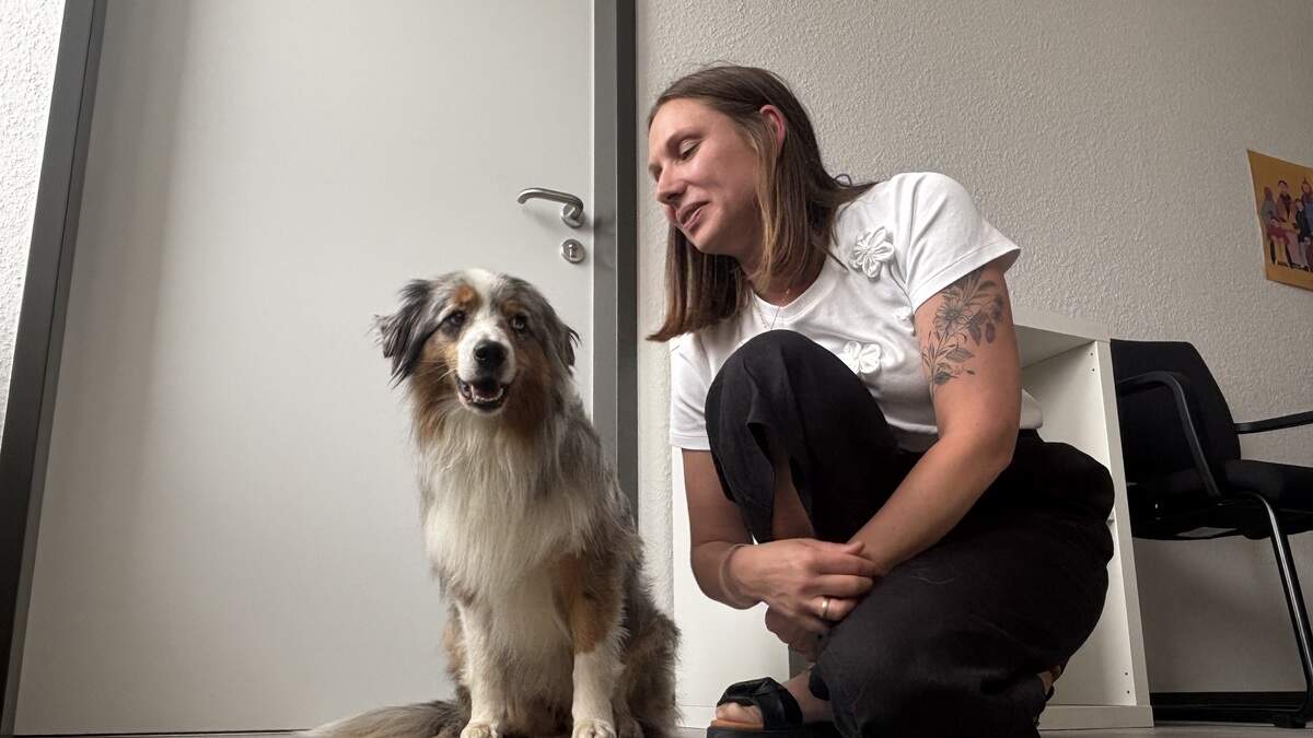 Therapy dog ​​Franzi makes conversations at the youth welfare office ...