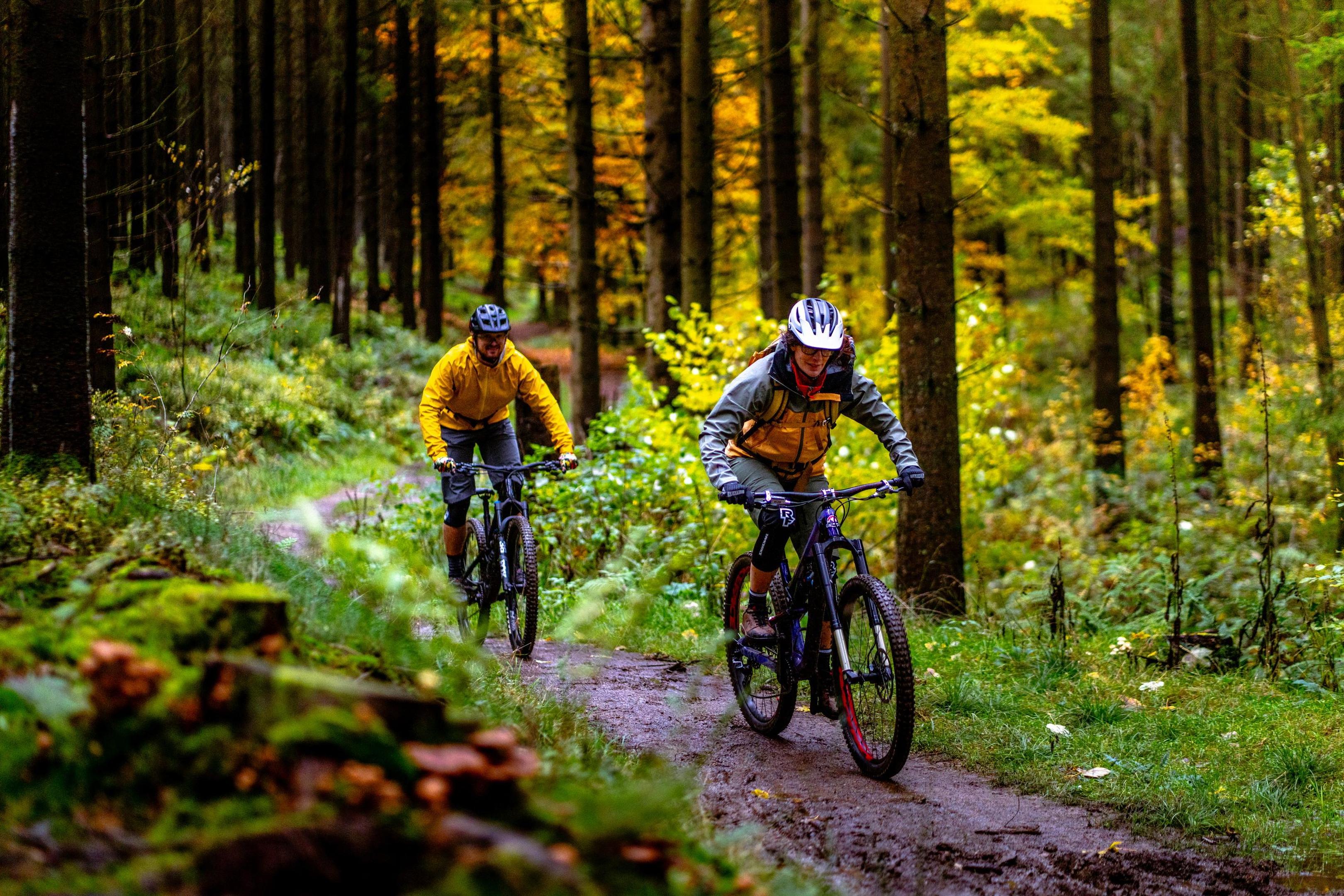 Ausgedehnte Waldflächen, Wiesenlandschaften und Flusstäler: In Ostbelgien können Radbegeisterte neun weitere Mountainbike-Routen erkunden.