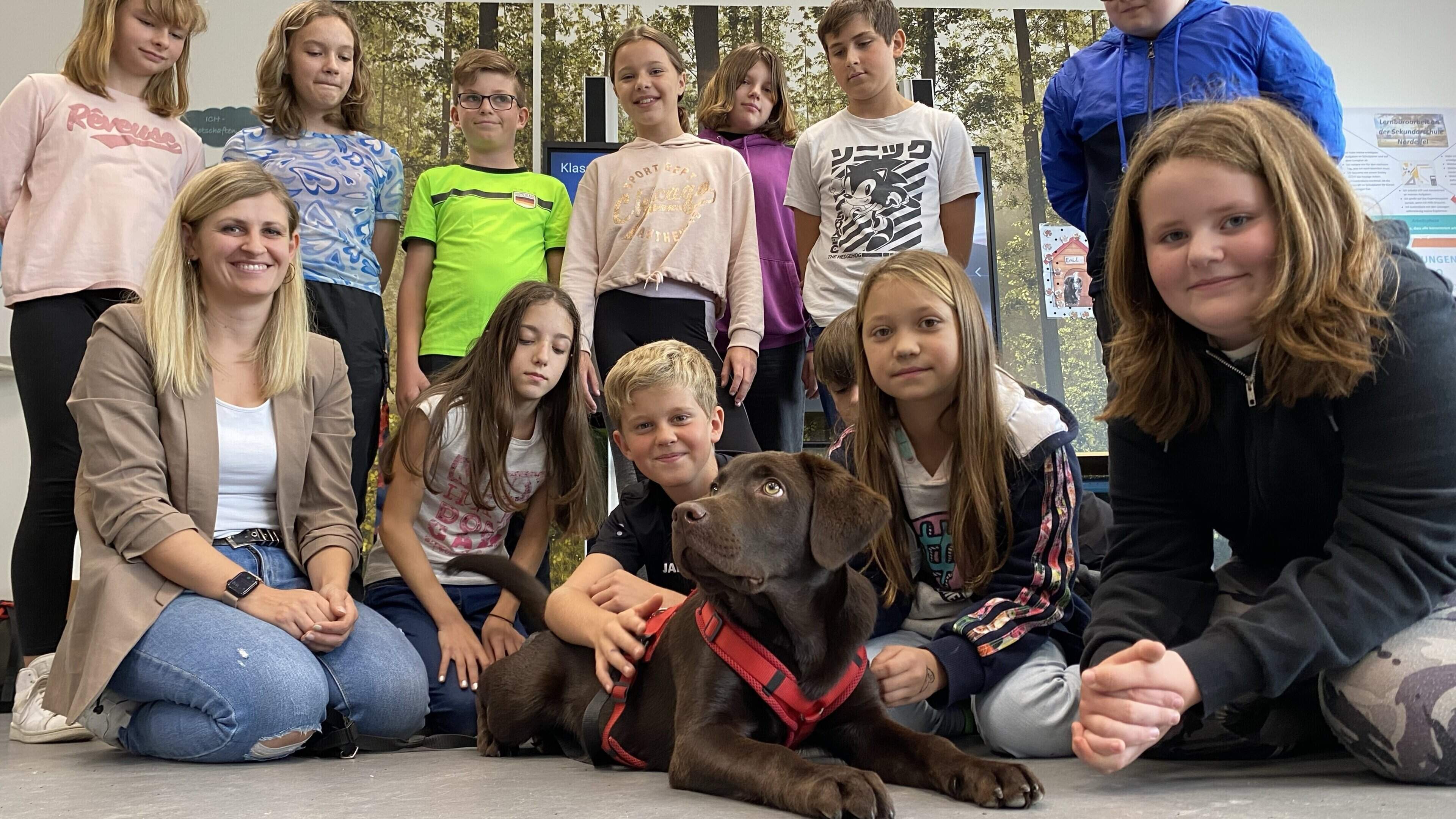 Gesamtschule In Der Nahe