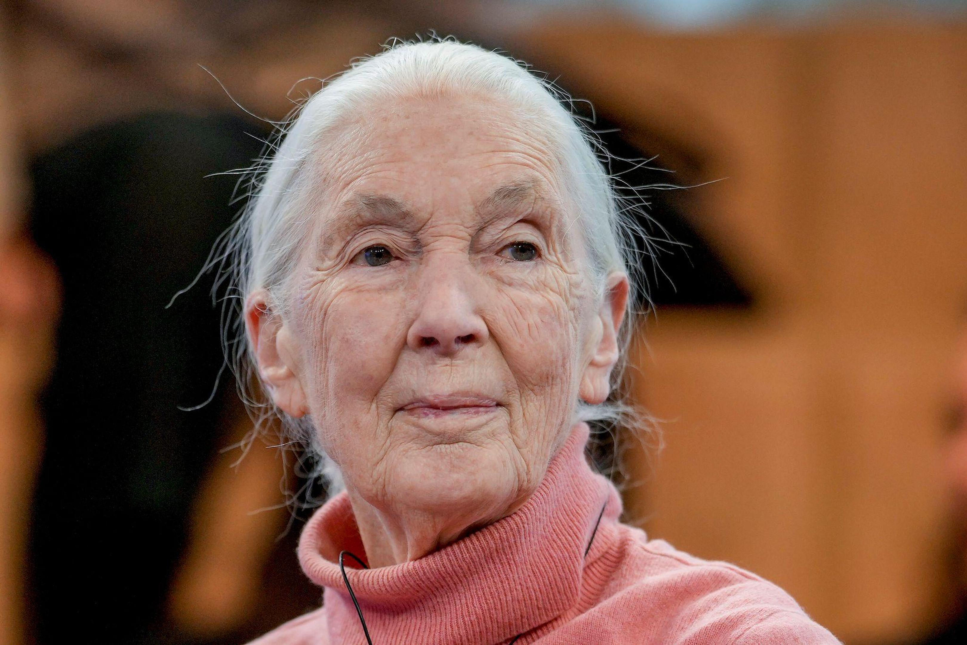 Jane Goodall, Primatenforscherin und Anthropologin, spricht am letzten Tag des Weltwirtschaftsforums (WEF). Sie ist eine Mahnerin in Sachen Umwelt- und Tierschutz. 