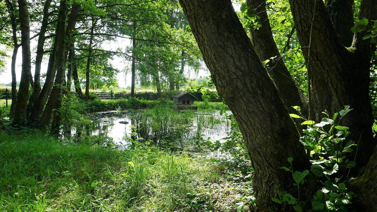 Der schönste Spielplatz der Gemeinde hat sein Biotop zurück Aachener