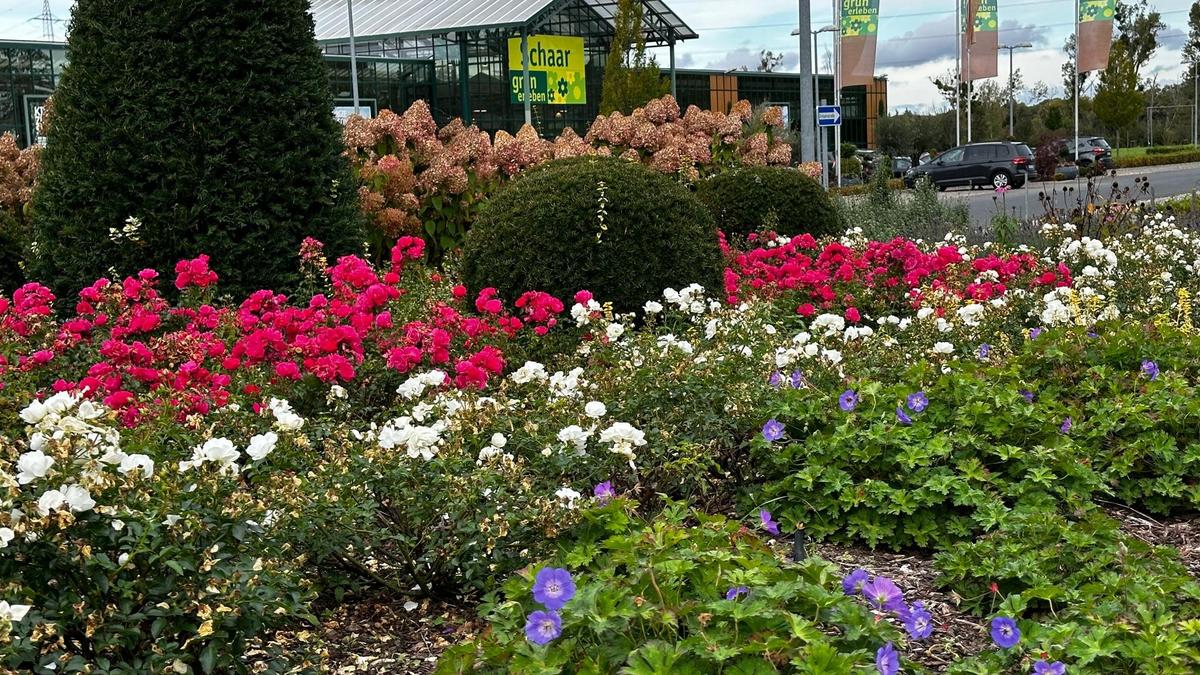 Gartencenter Schaar plant in Stockheim eine große Erweiterung