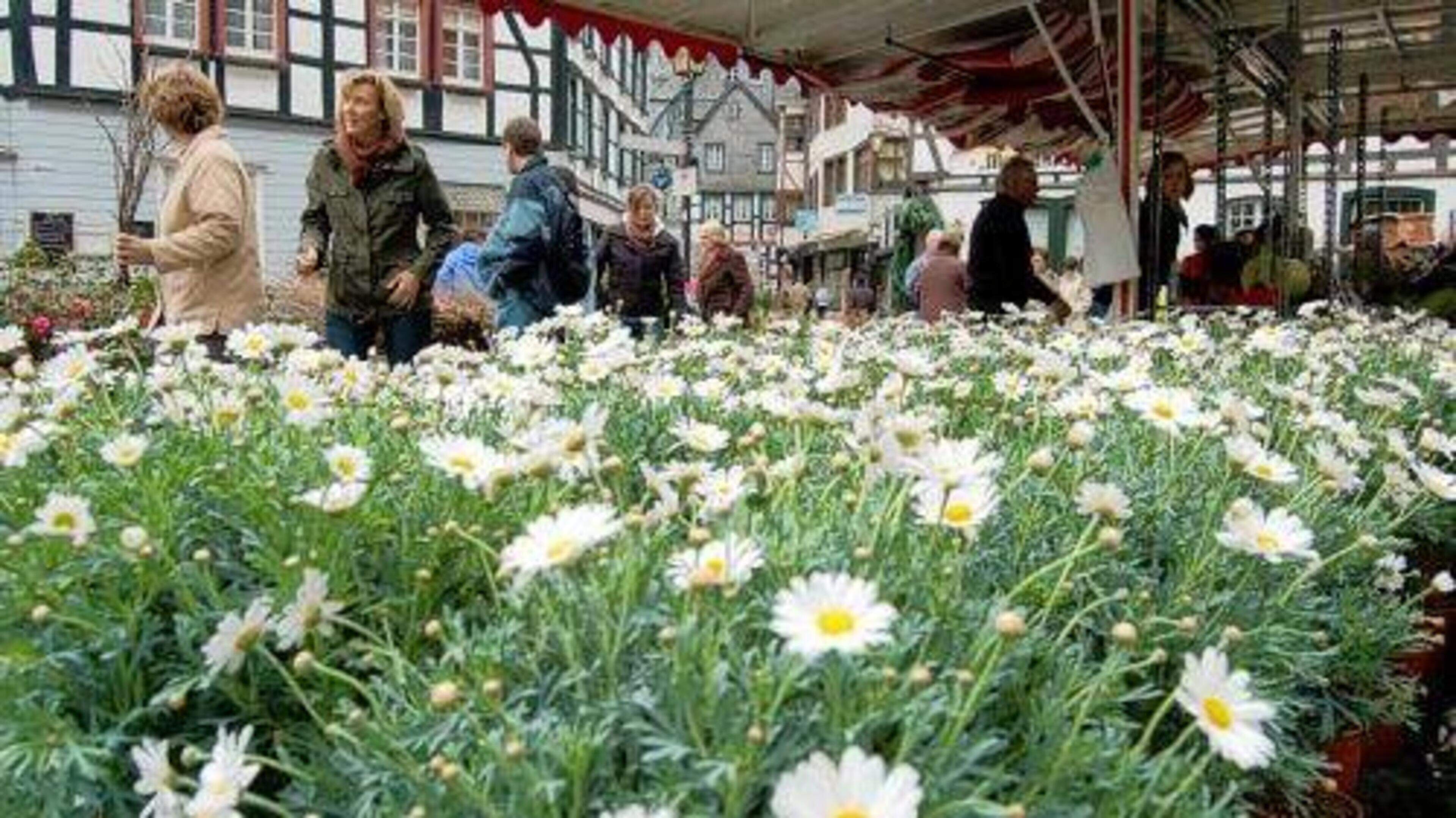 Am Sonntag Dem Oder Den www.aachener-zeitung.de