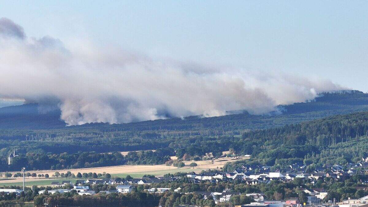 Fire in the Hürtgen Forest: Public prosecutor's office assumes arson