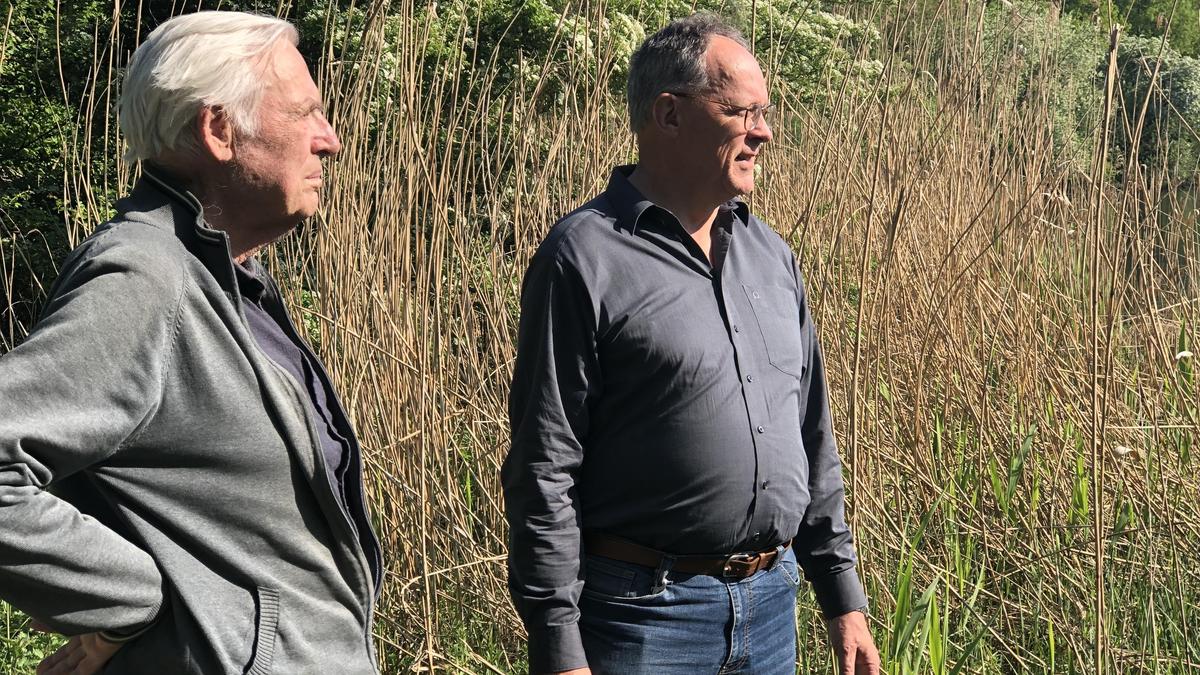 Wieso-mehr-seltene-Vogelarten-die-Wurm-verlassen