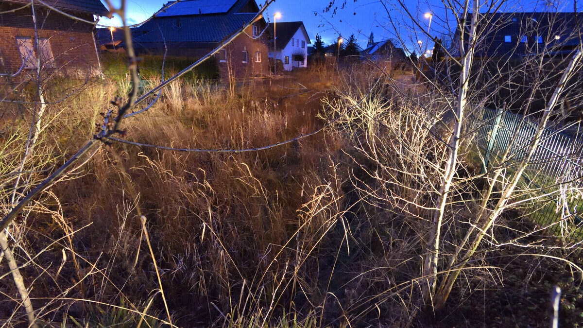 Teiche am Tripser Wäldchen Sumpfzone wird doch erhalten Aachener Zeitung