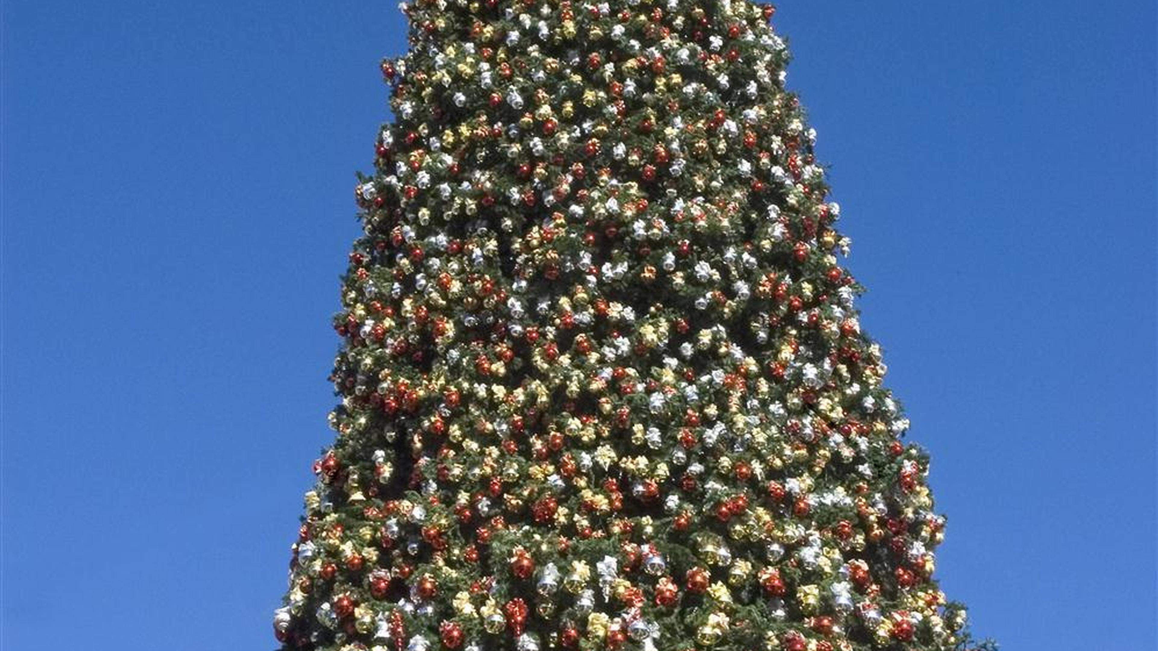 Ein Tannenbaum ohne politisches Lametta Aachener Zeitung