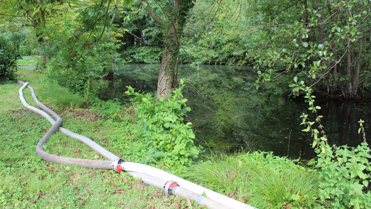 1,5 MillionenSpritze zur Sanierung der GutWeyernTeiche Aachener