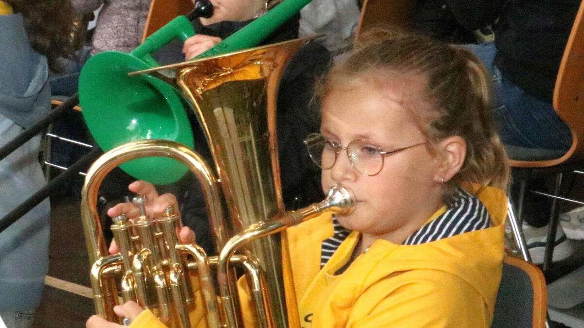 Musikverein Haaren: Instrumentenkarussell am 27. März für Nachwuchs ...