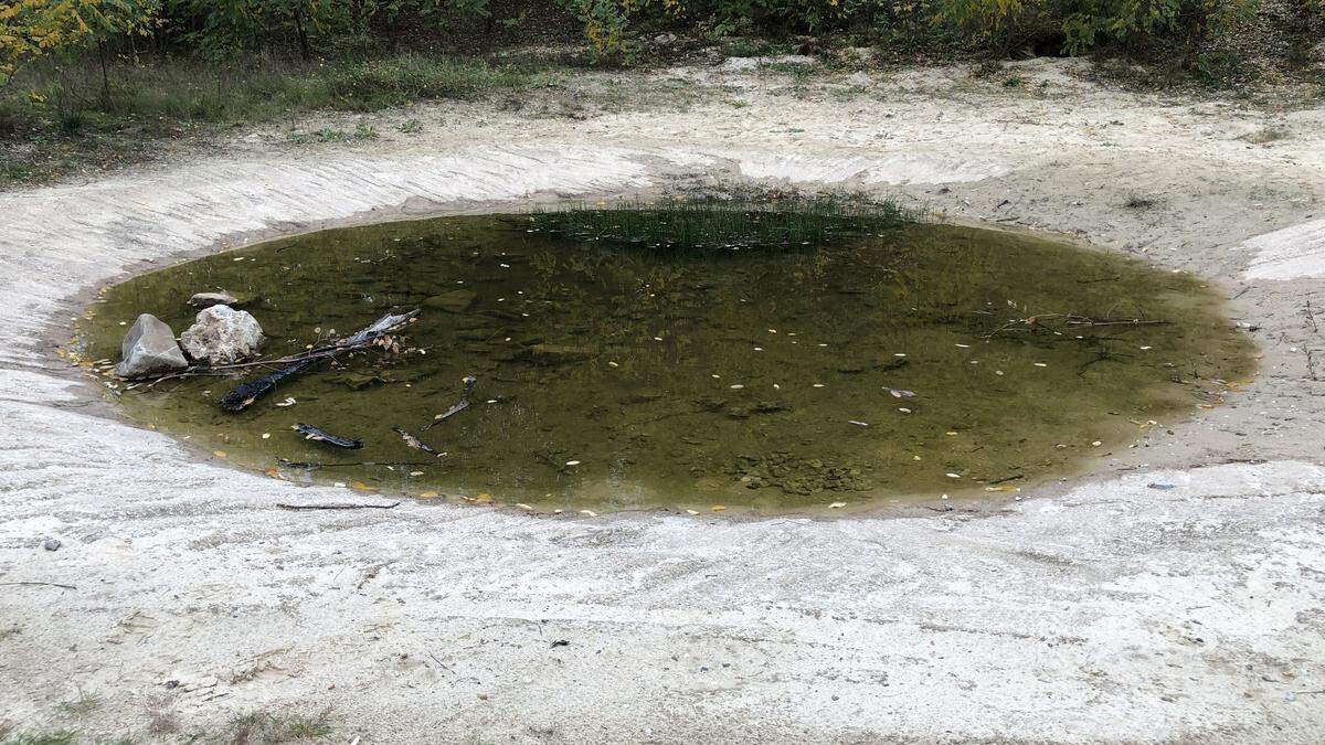 Teiche im Naturgebiet Mariental werden nicht mehr aufgefüllt Aachener