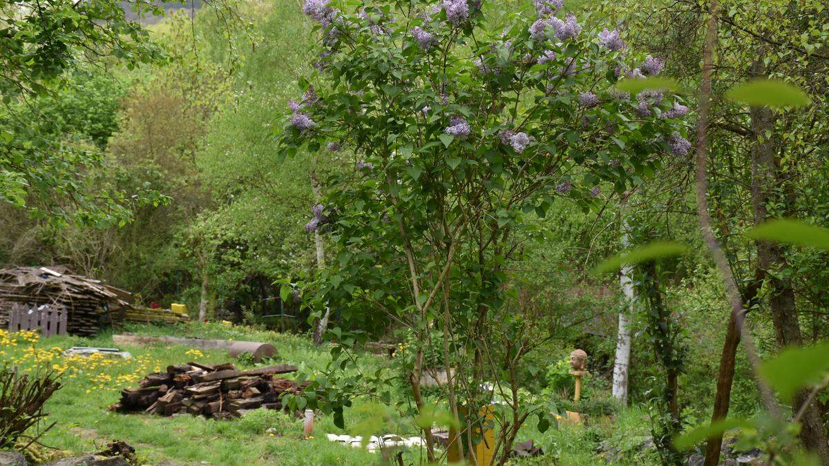 Nideggen Hortus Dialogus stellt seine Gartenanlage vor Aachener Zeitung