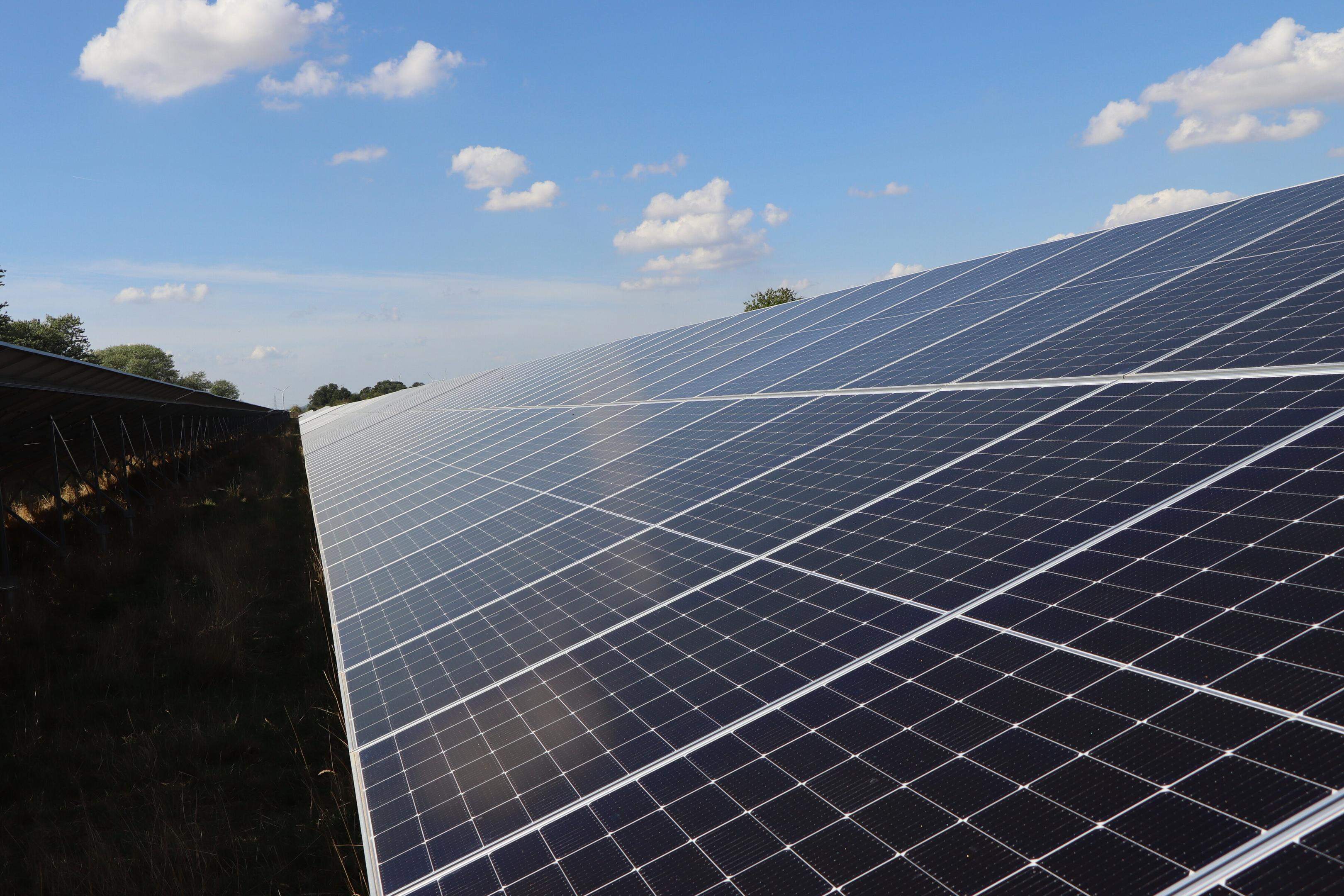17.037 Solarelemente stehen auf dem Gelände Merscher Höhe im Umfeld des Brainergy Parks in Jülich, um dort grünen Wasserstoff produzieren zu können. Braucht es weitere Flächen zur Produktion regenerativer Energien? Fehlen diese Flächen dann der Landwirtschaft?