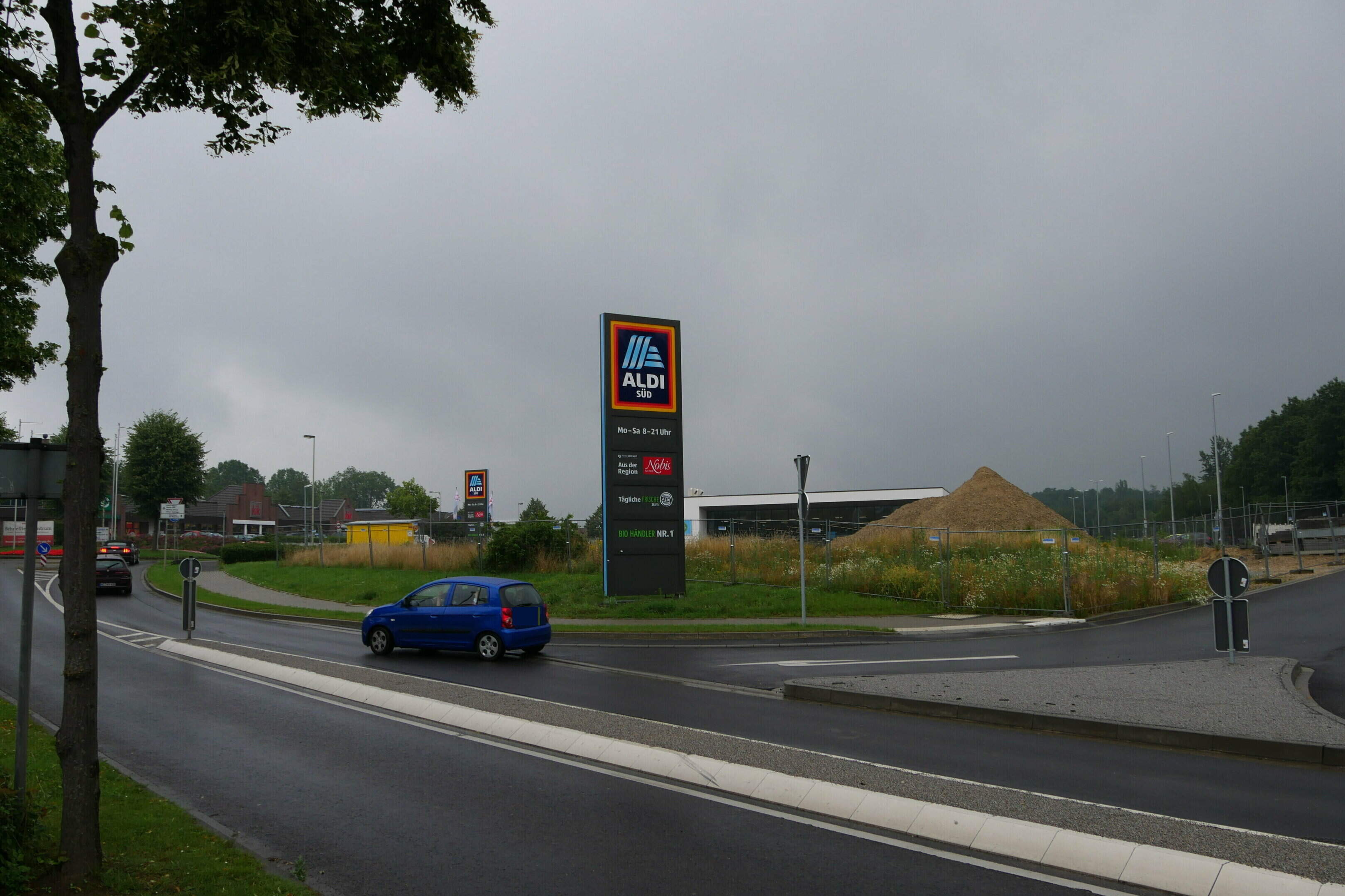 glanzmispel tierfreundlich Glanzmispel 'Red Robin' kaufen
