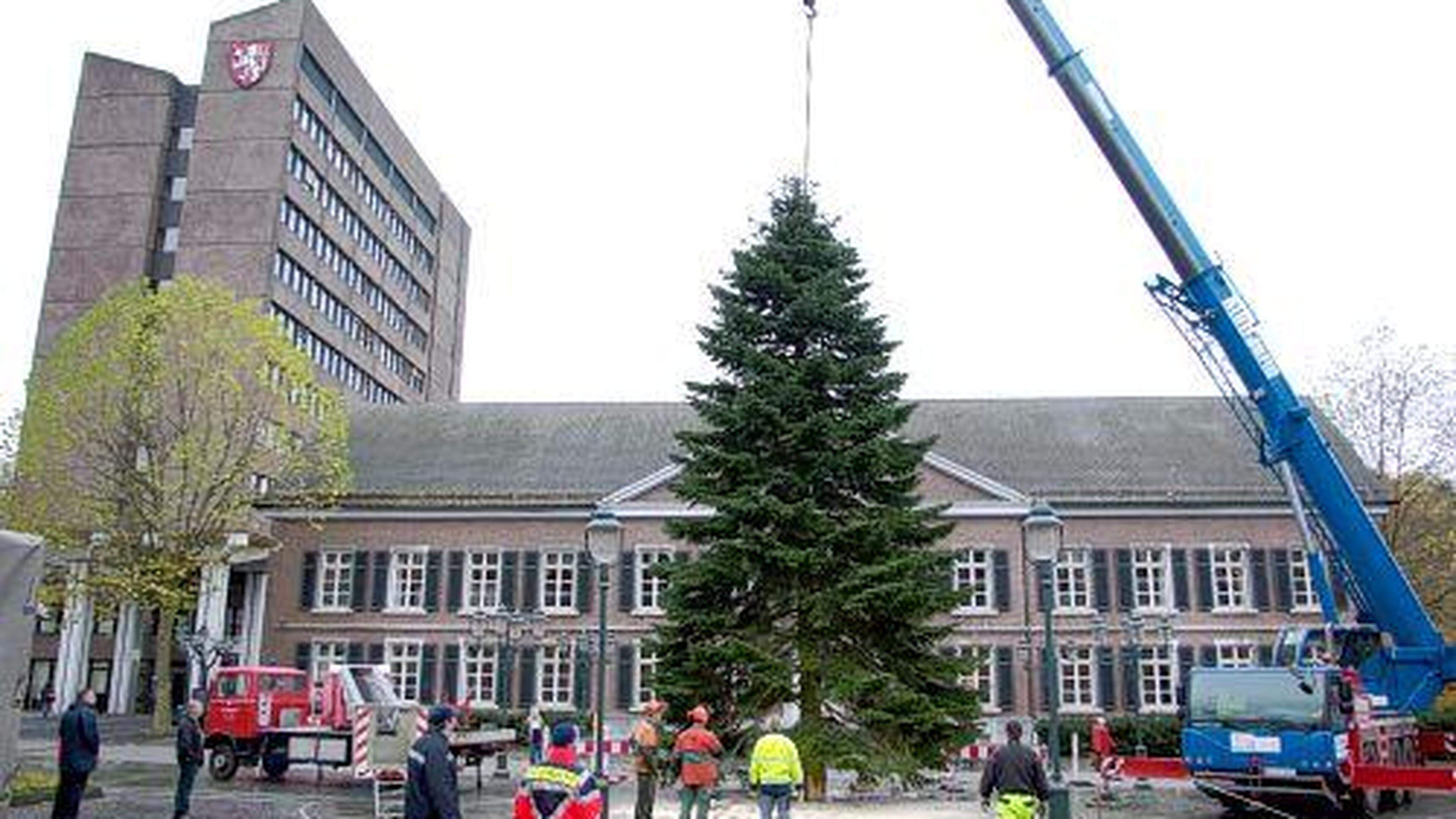 Schmucker Weihnachtsbaum überragt das alte Rathaus Aachener Zeitung